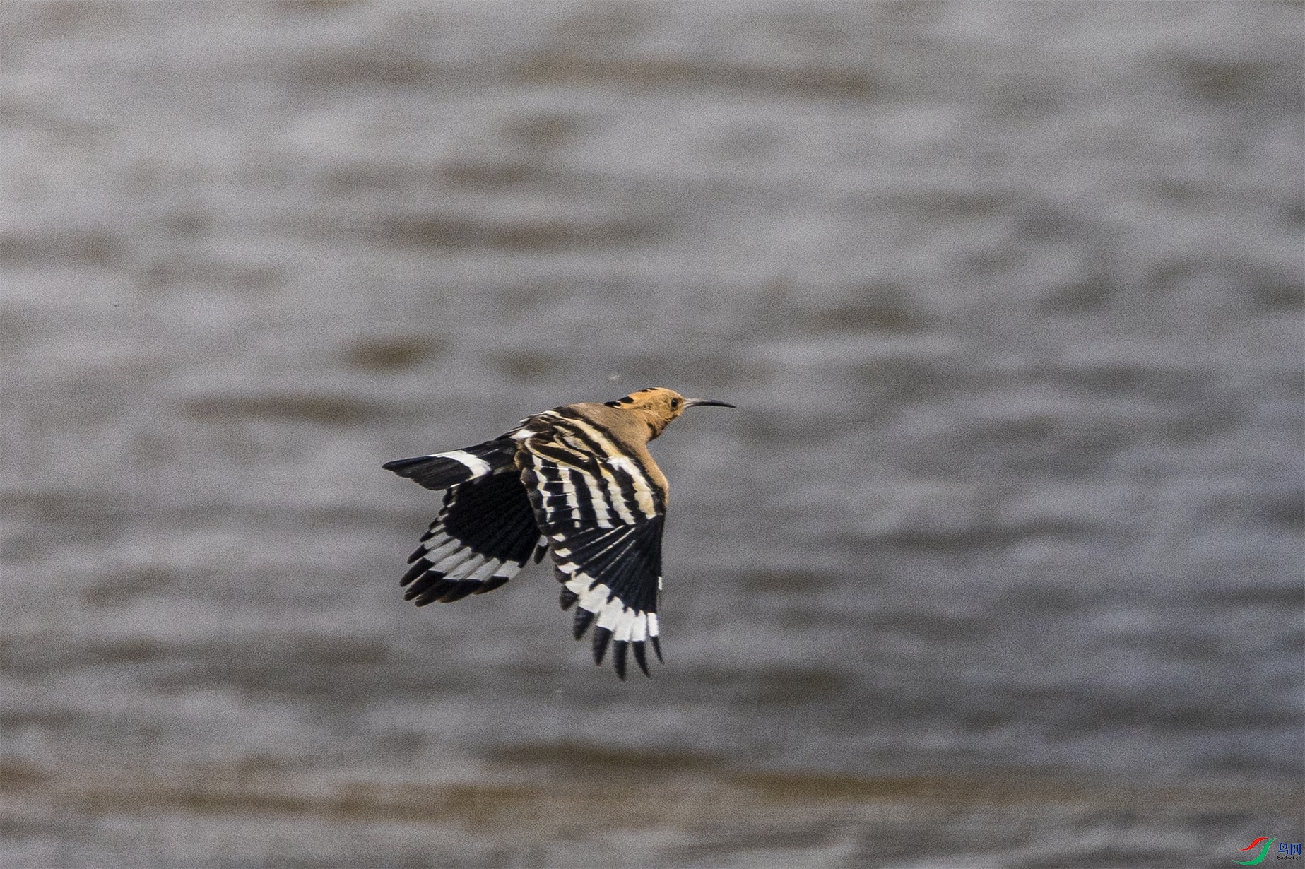 1K3A6614 ����1.jpg