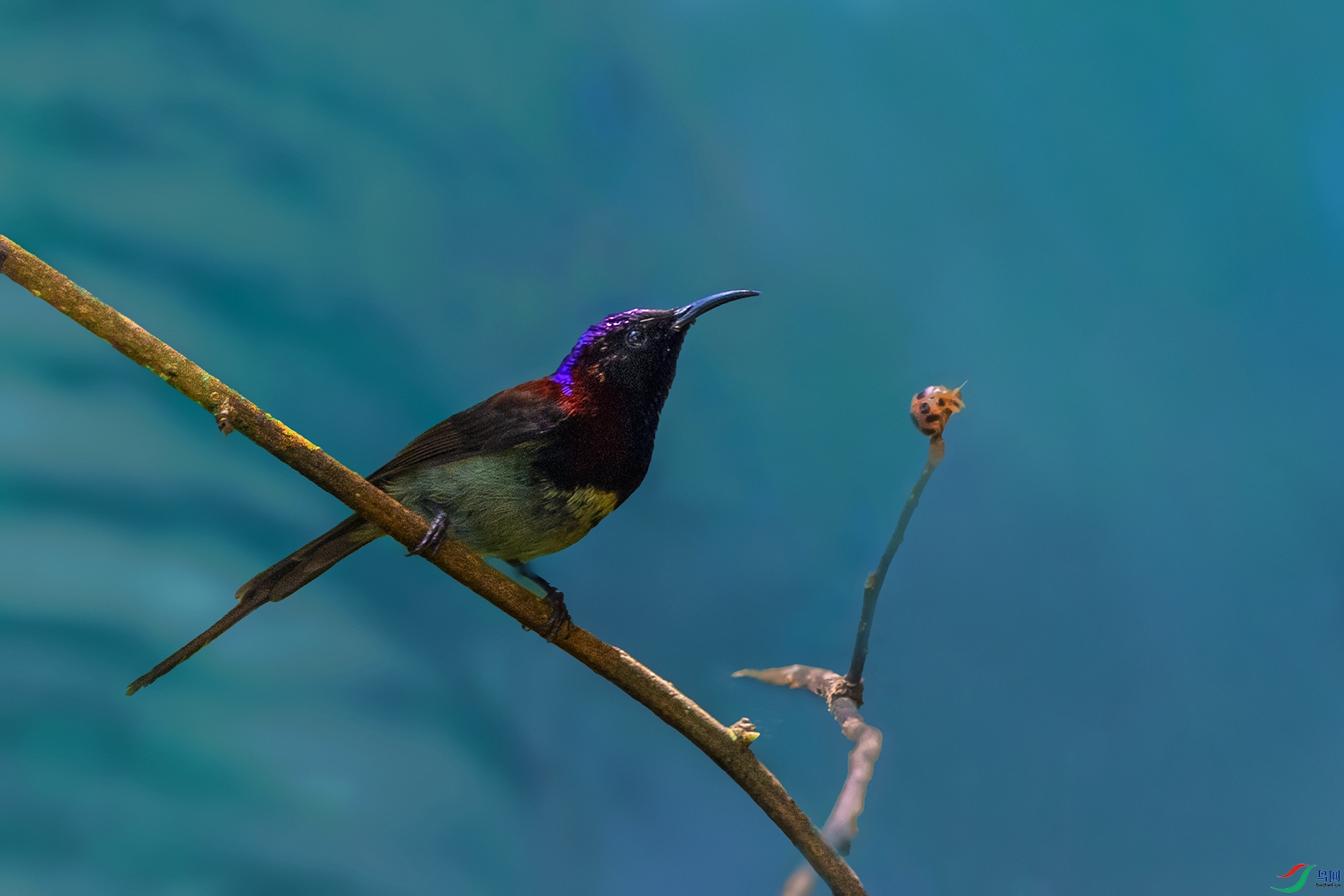 ����̫����----��ζ��ǰ