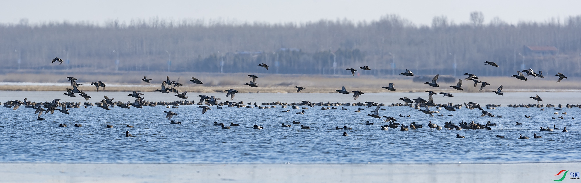 DSC_5296-Pano.jpg