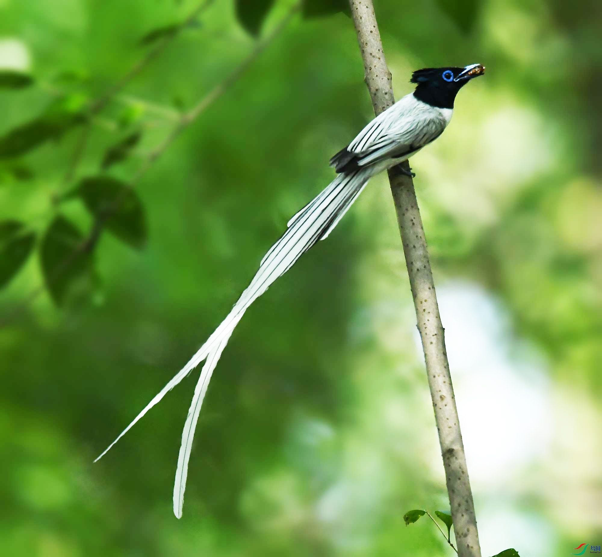DSC_2331_.jpg