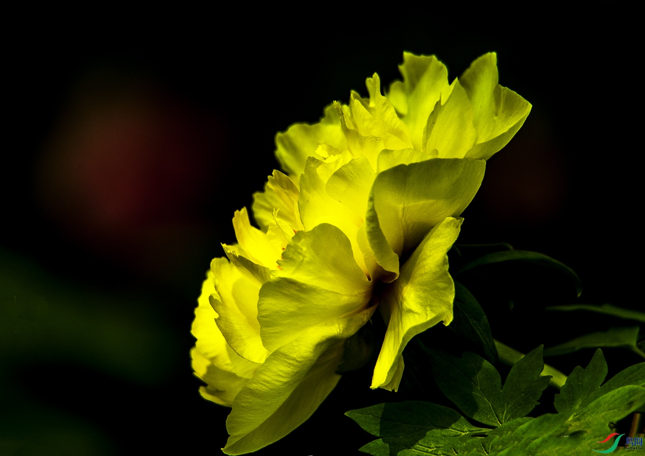 DSC_7624.jpg