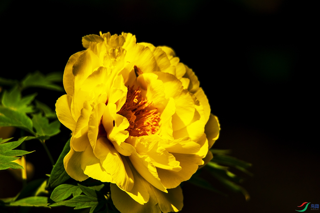 DSC_7626.jpg