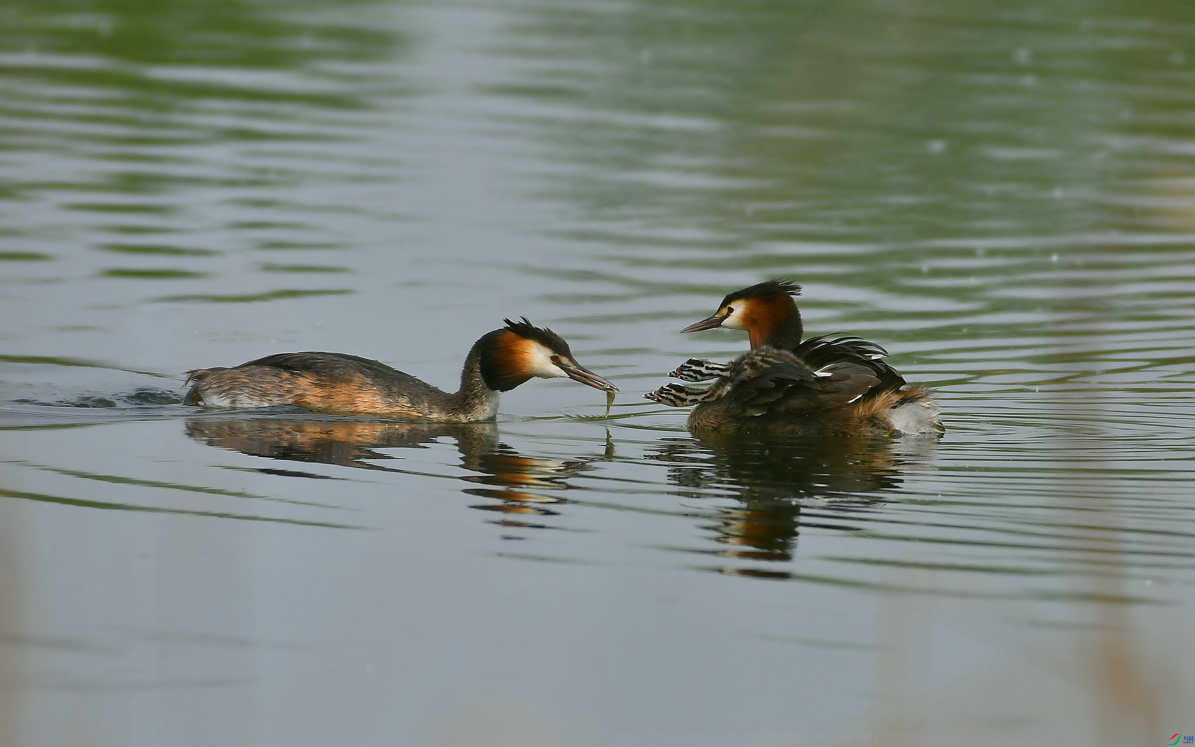 DSC_2760.JPG
