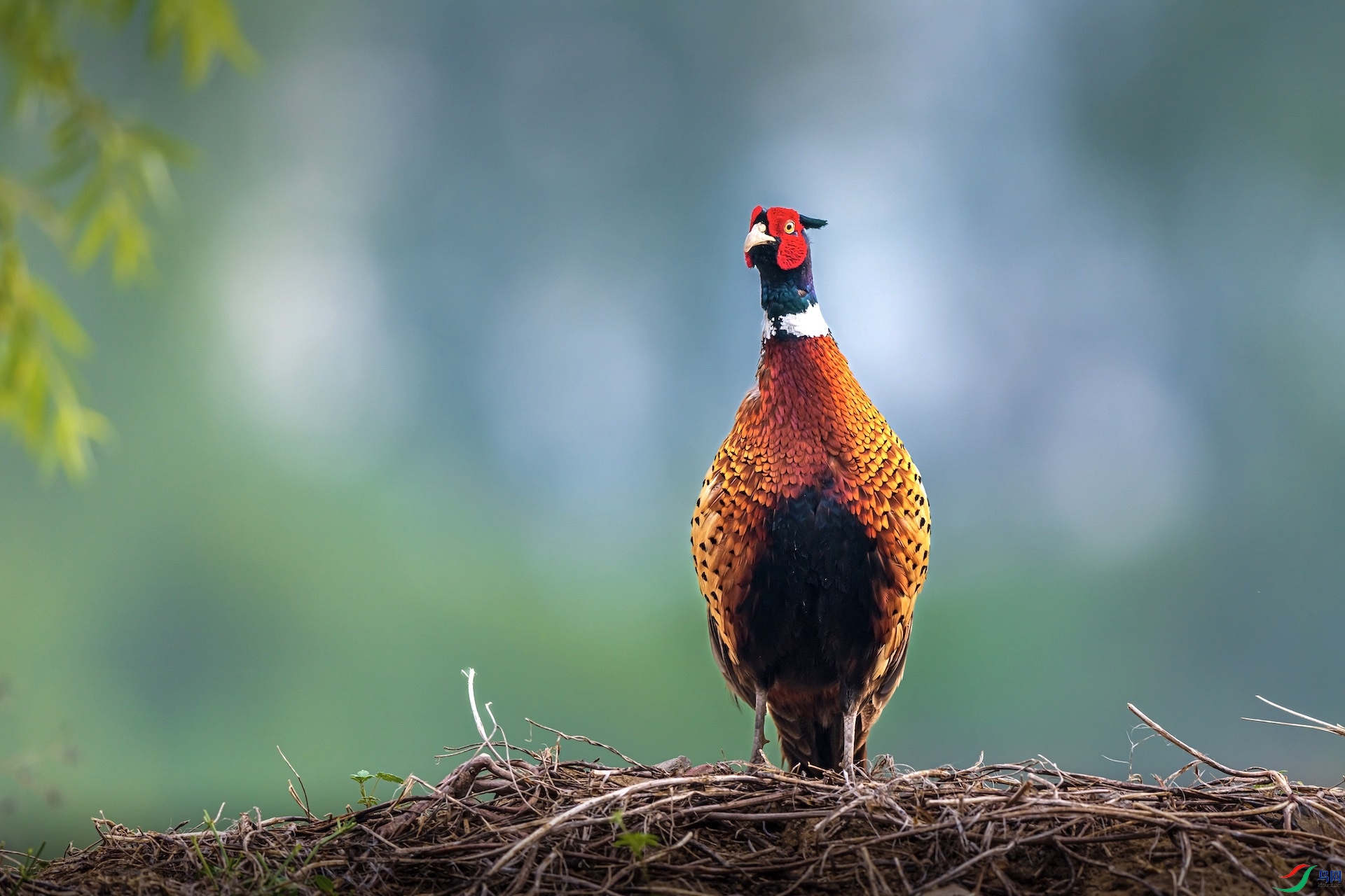 2_XXI2813 ����.jpeg