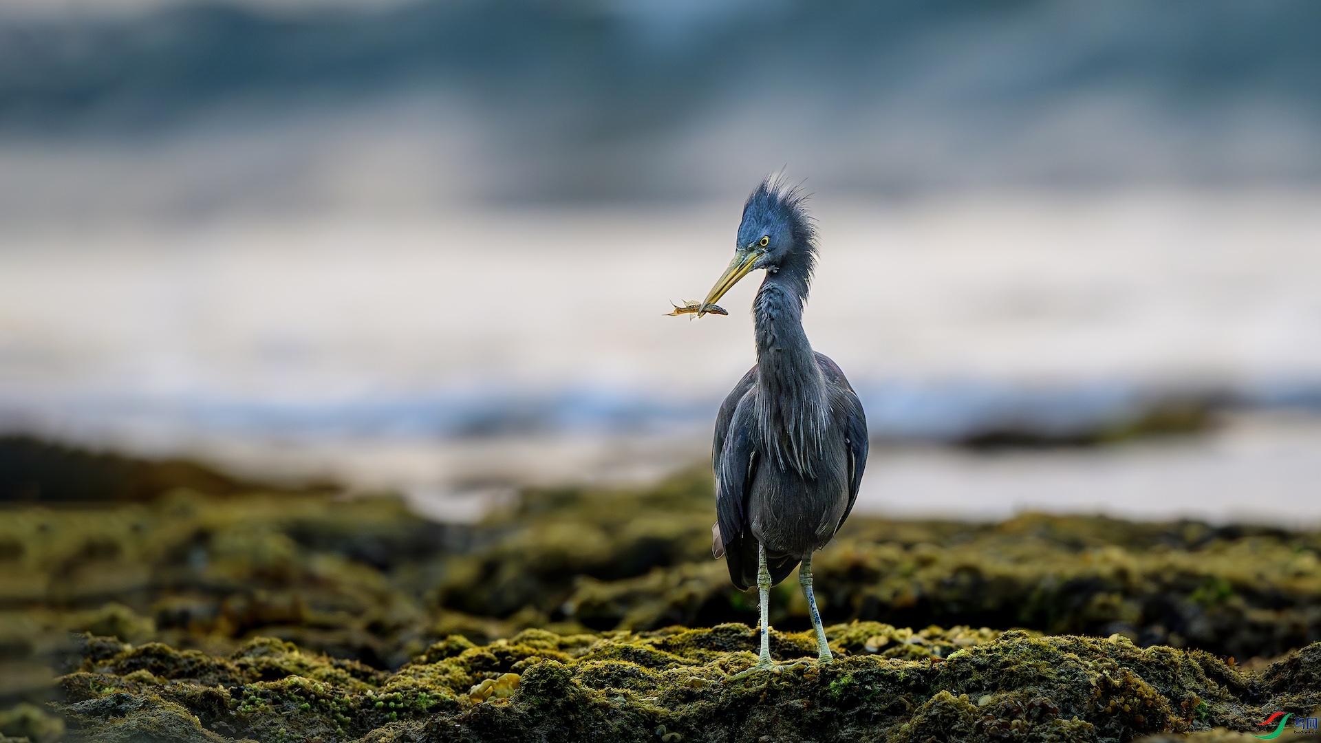 2_XXL1426-����ǿ-NR ���� 2.jpeg