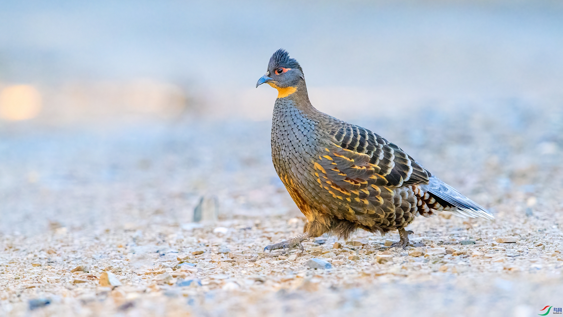 ��Ƭ_DSC9910 ����.jpg