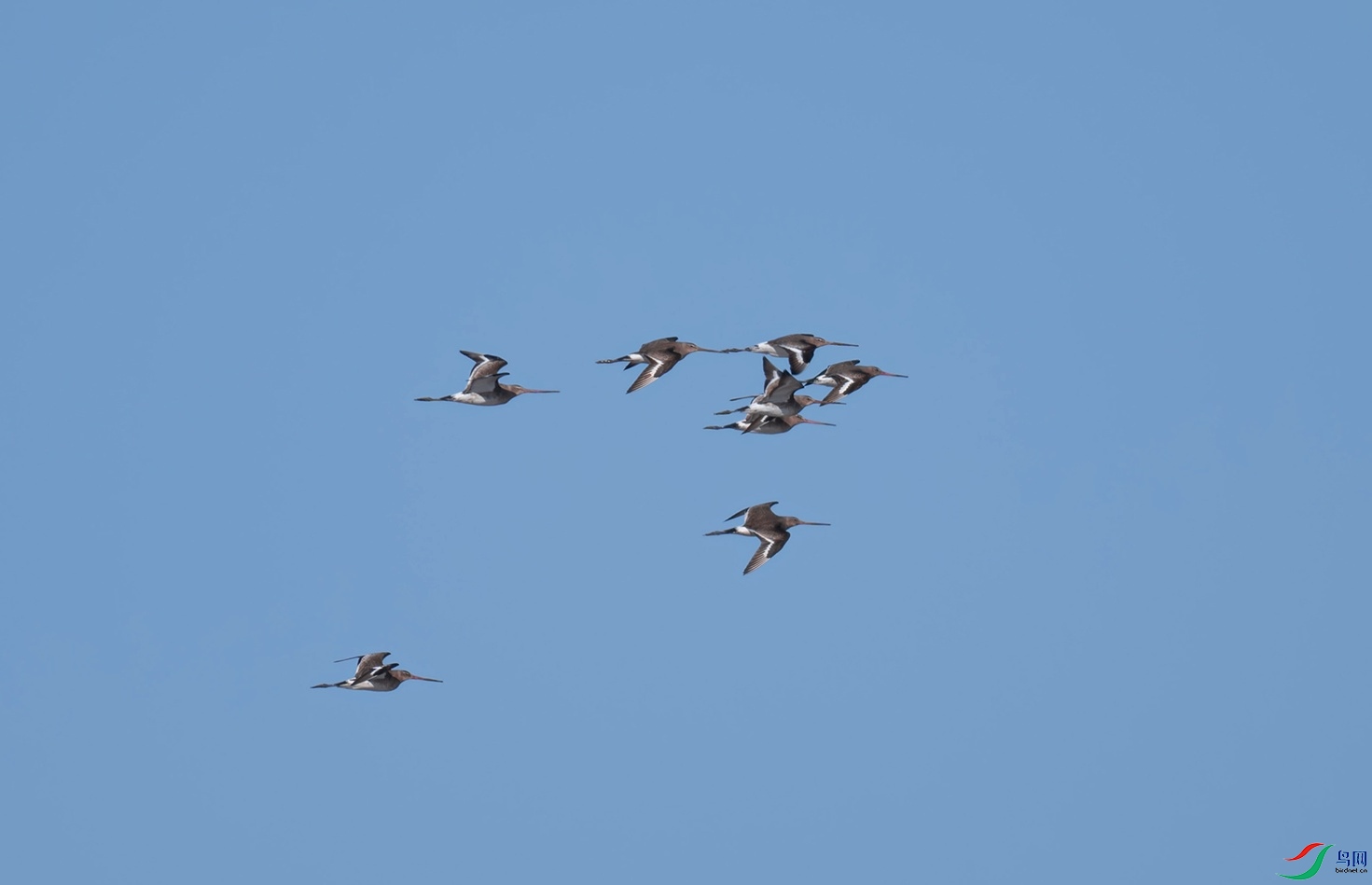 _DSC8008f.jpg