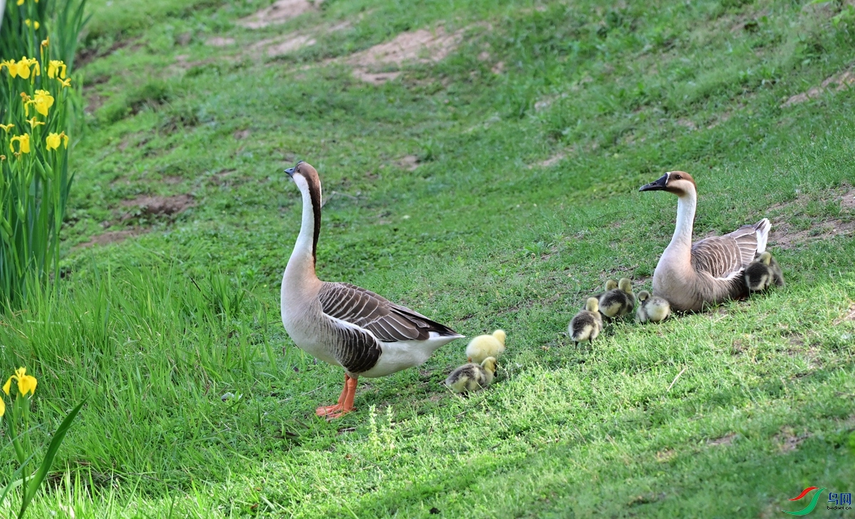 DSC_8390.JPG