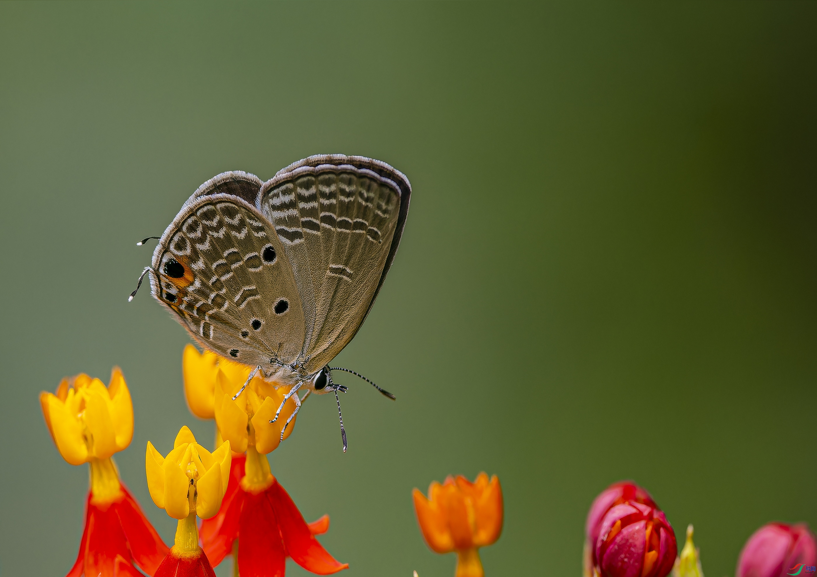 �����ϻҵ� (18)-1.jpg