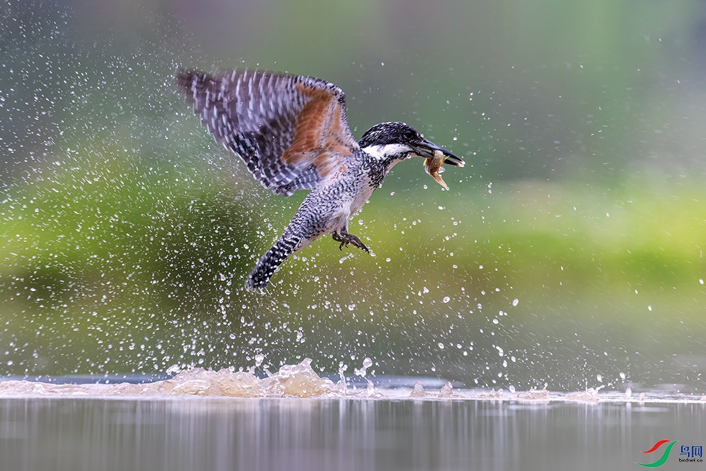 hbgsR240416 (1138)_DxO.jpg