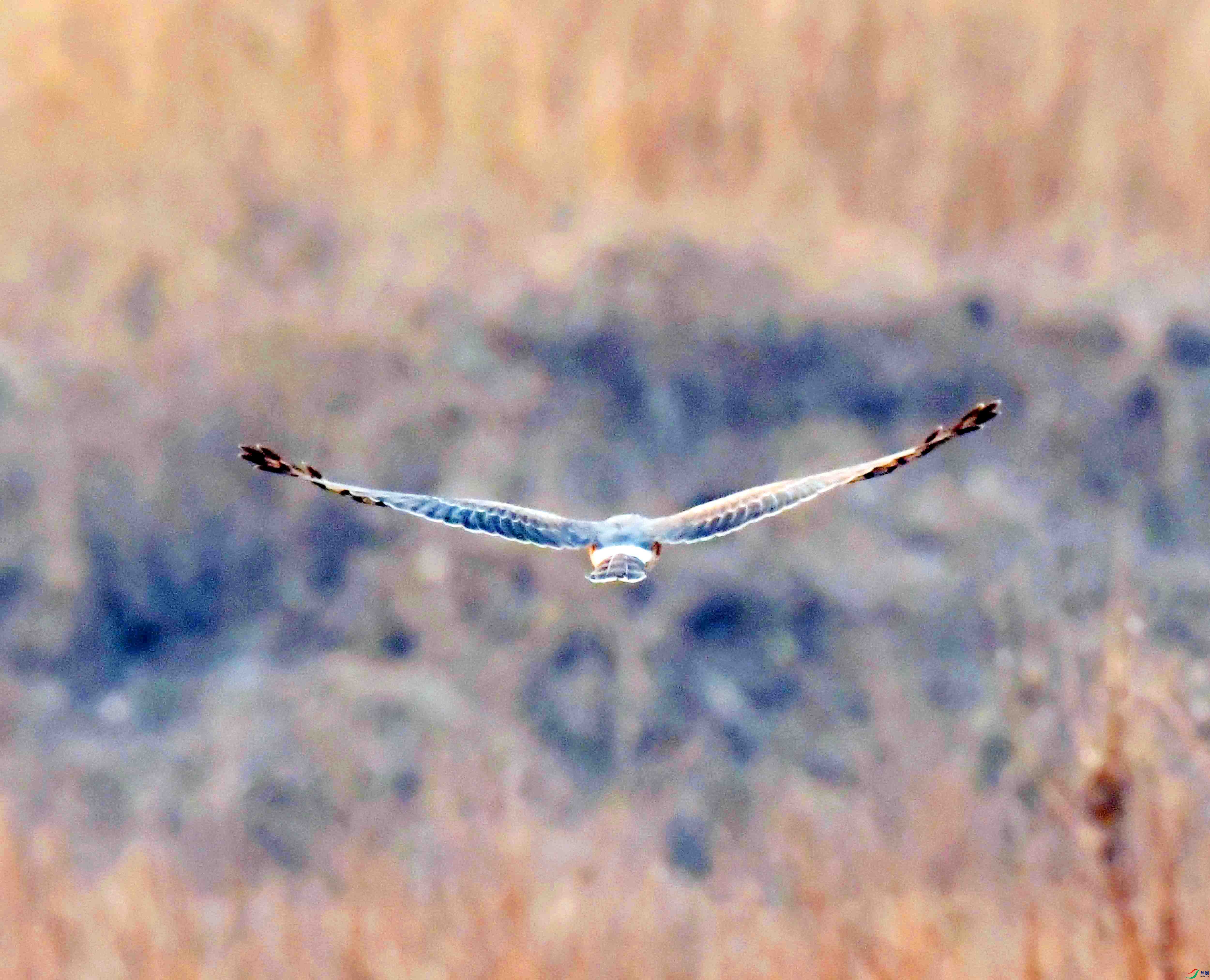 DSC_0113.JPG