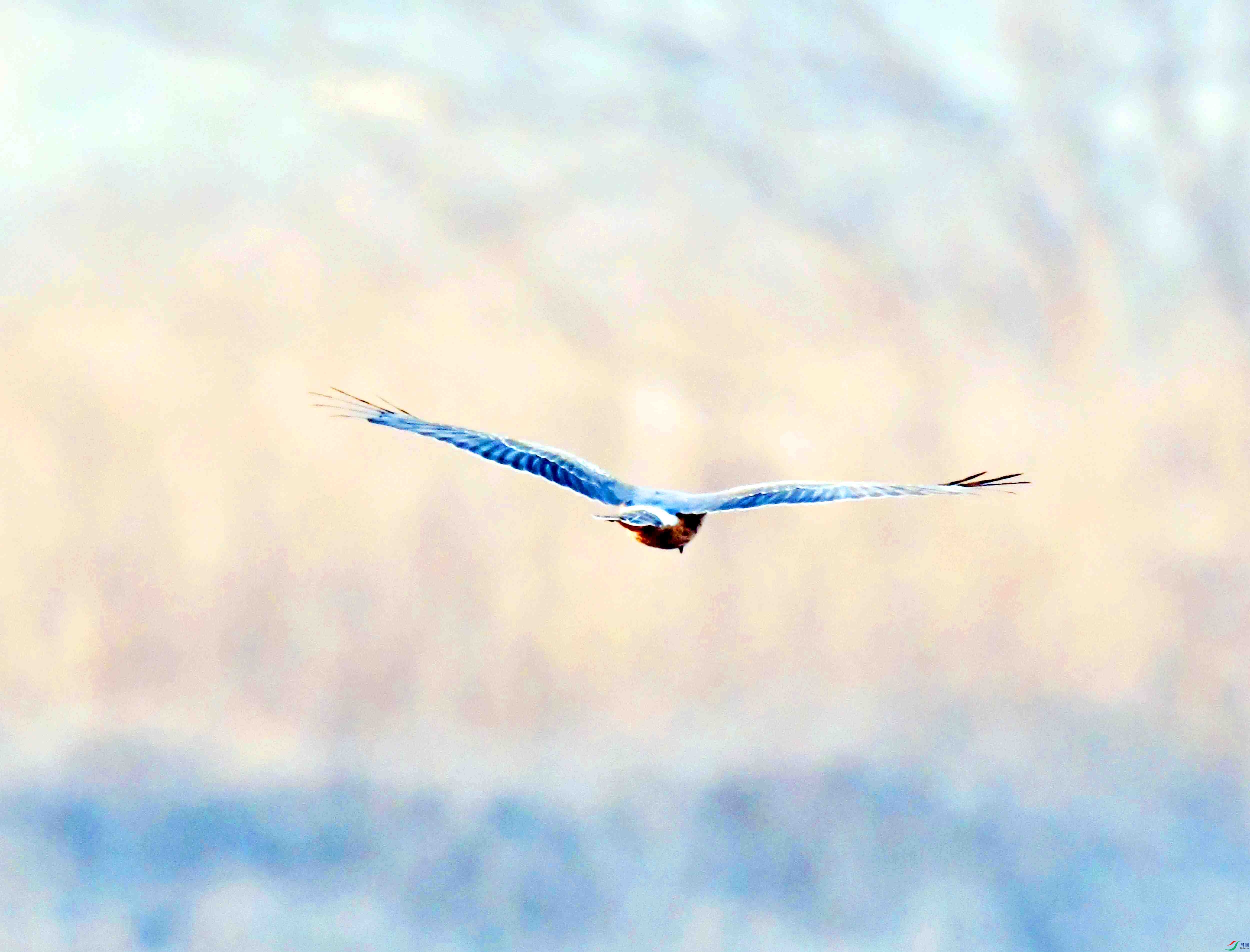 DSC_0101.JPG