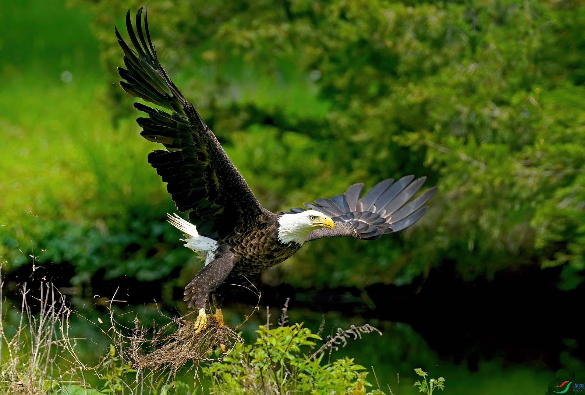 DSC08640--.jpg