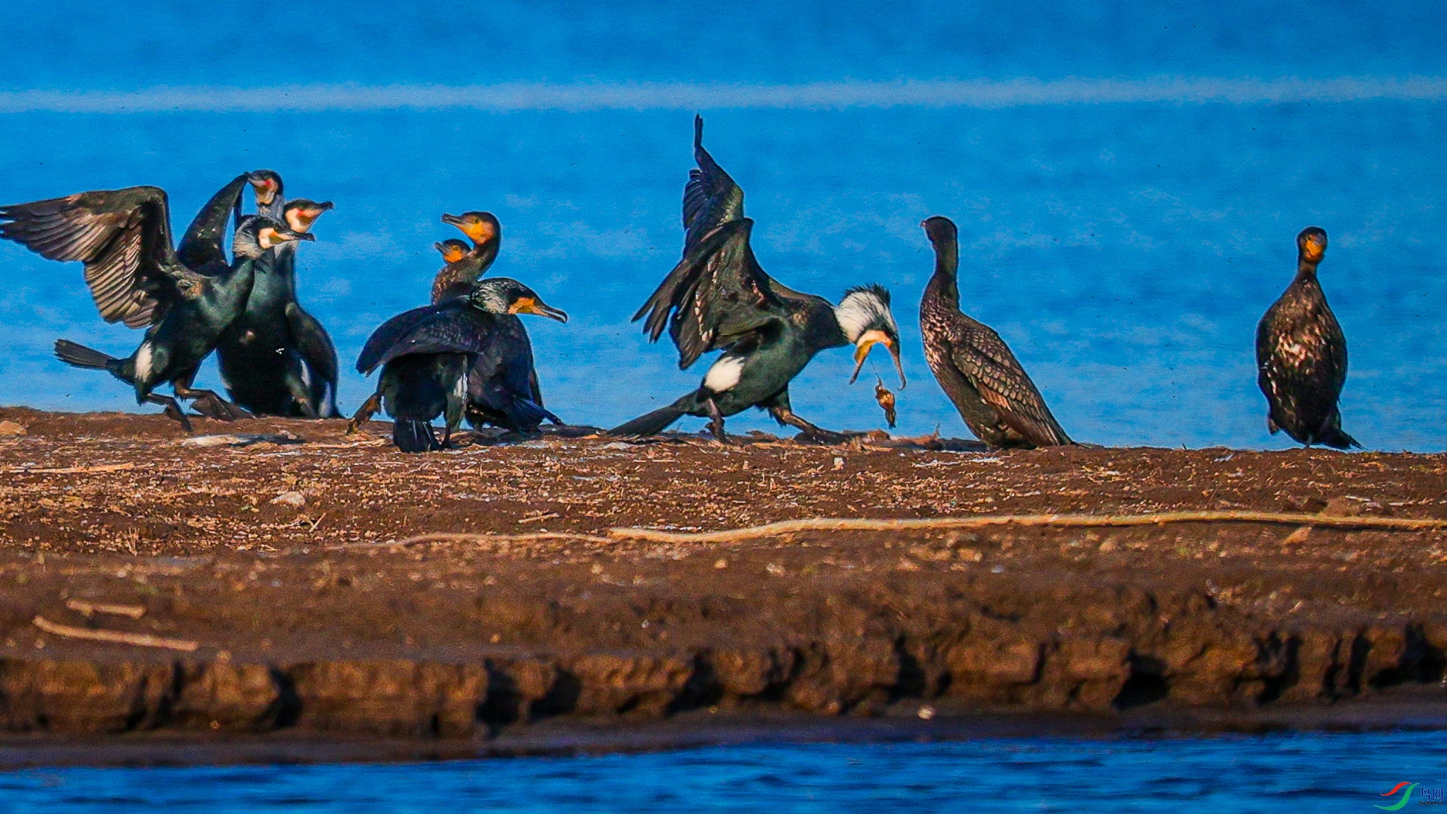 ̰�ԣ��͵��³�����