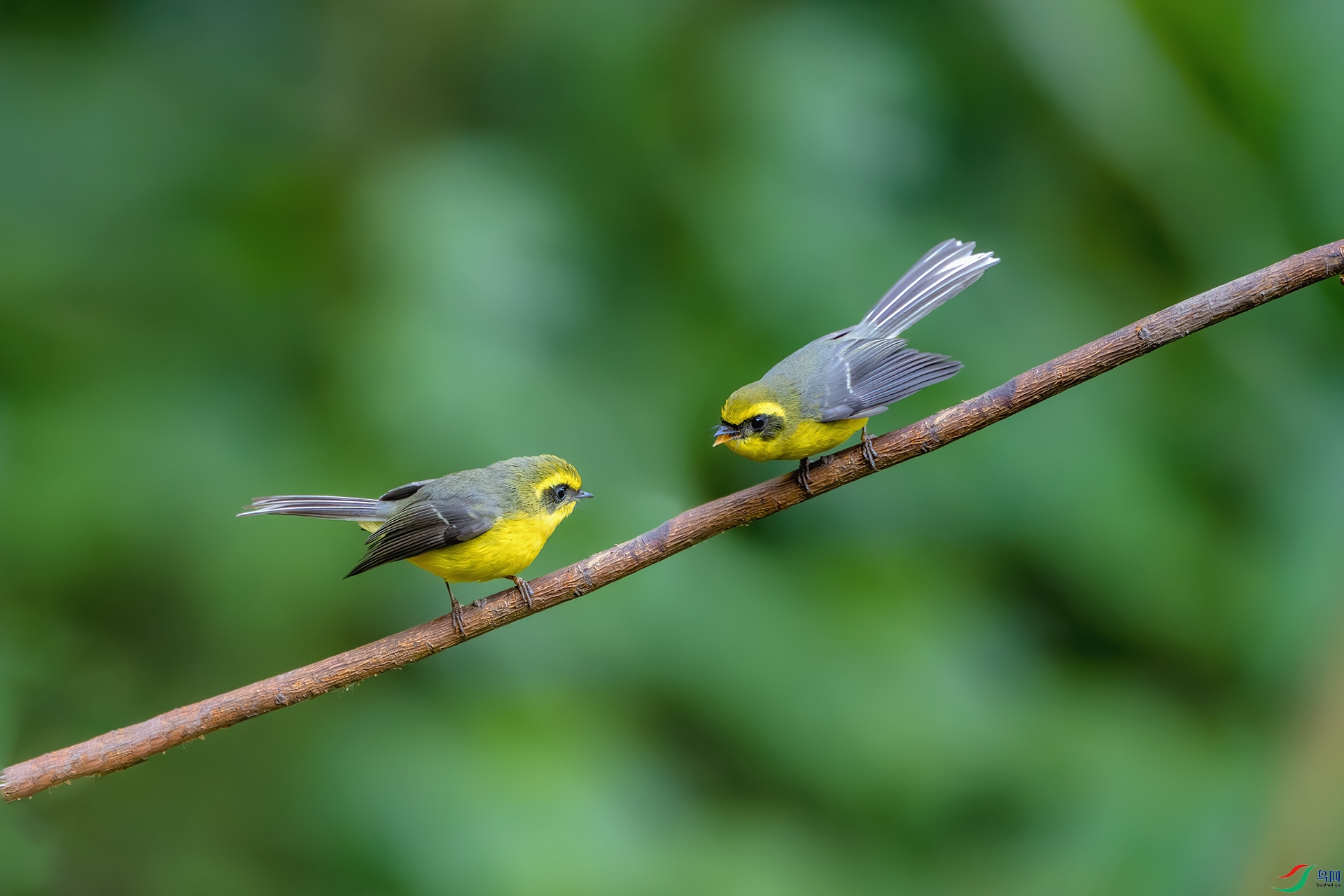 _DSC4179-����ǿ-NR ����.jpg