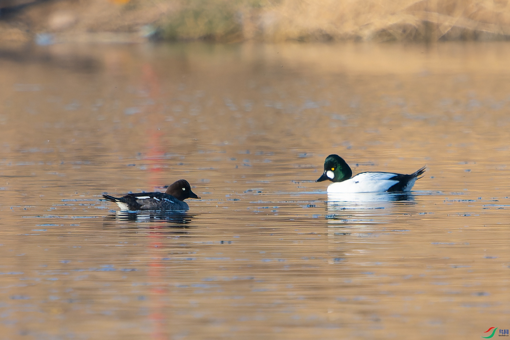 DSC_2715.jpg
