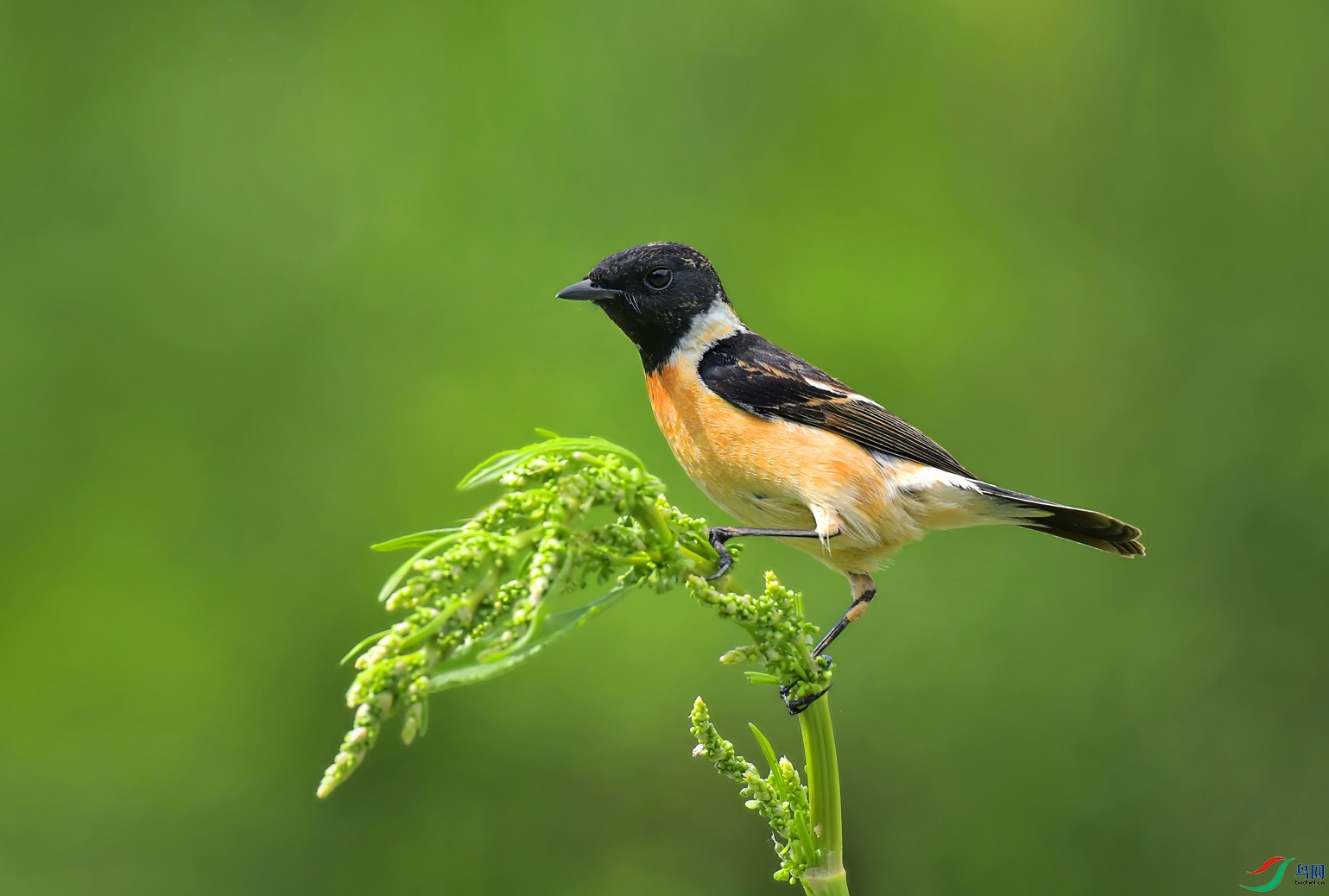 DSC_0260 ����..JPG