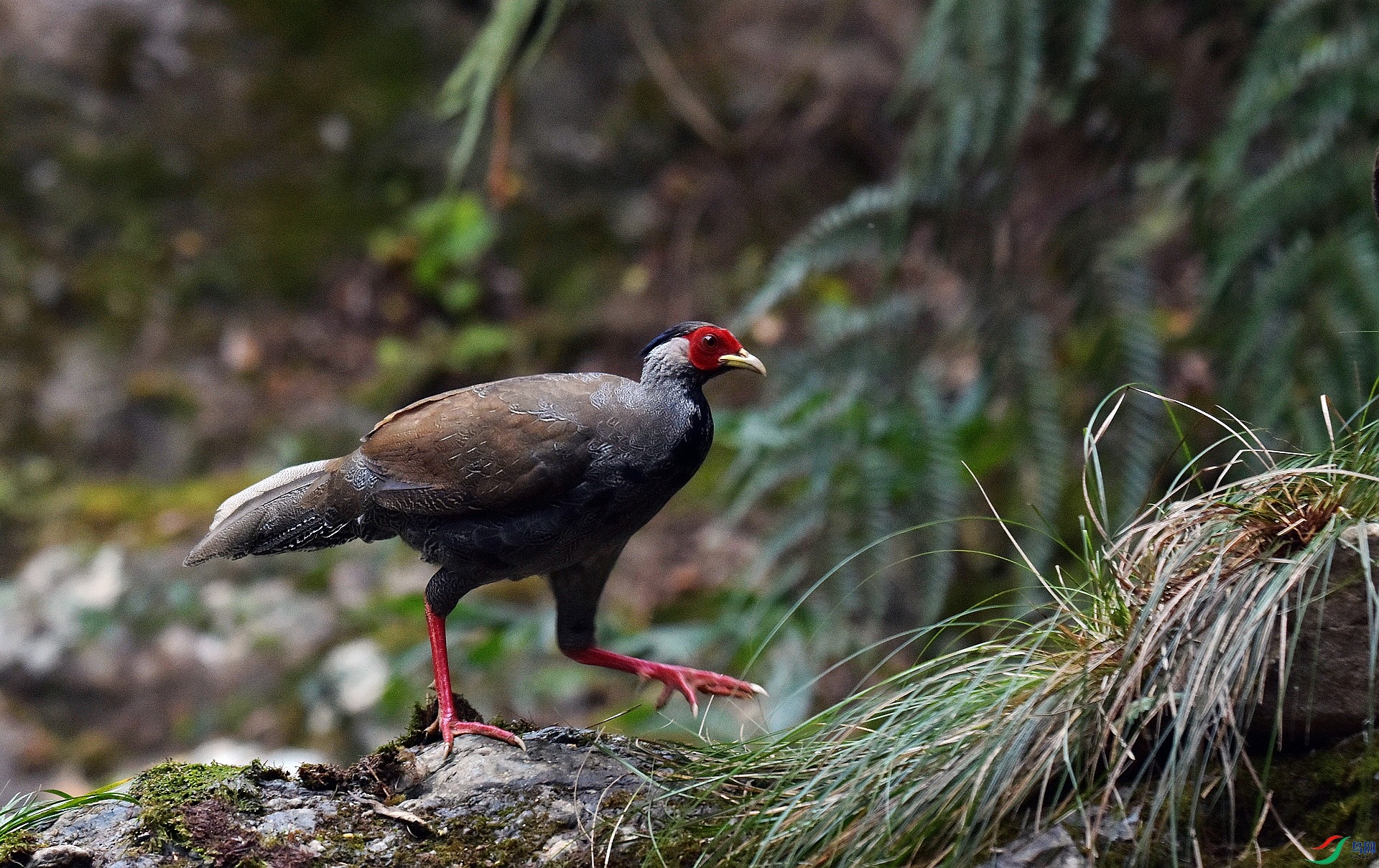 D72_1129.jpg