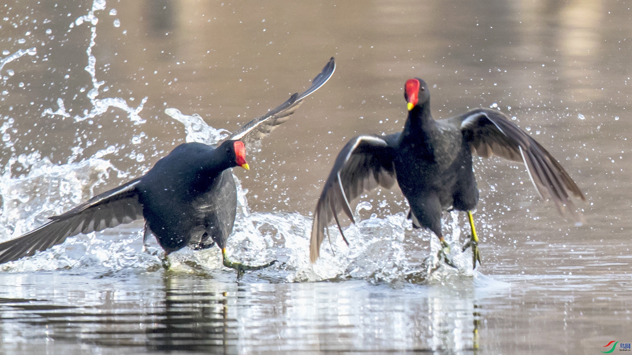 _90I3654 ���� 2.jpg