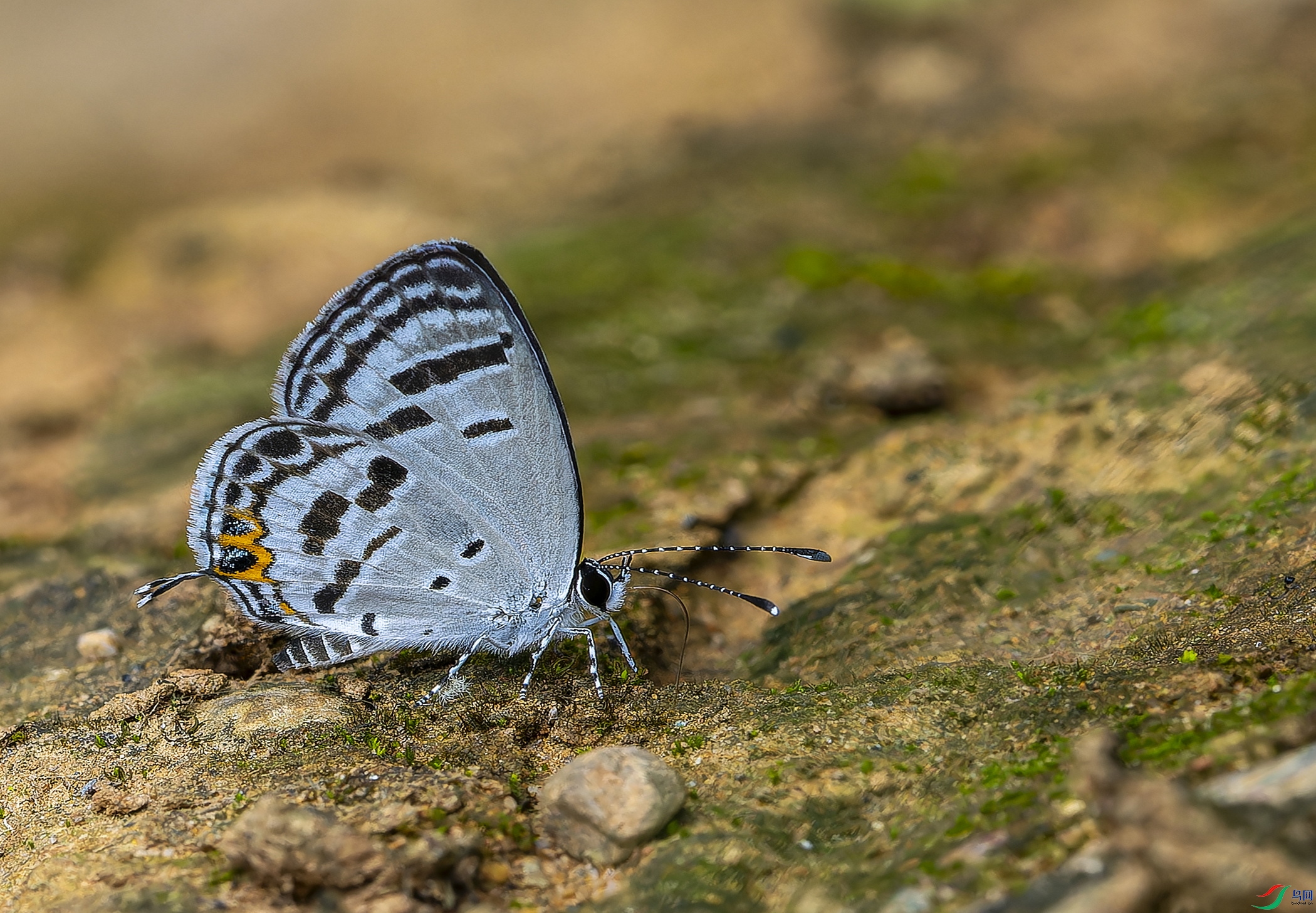 ��̫���ҵ� (46)-1.jpg