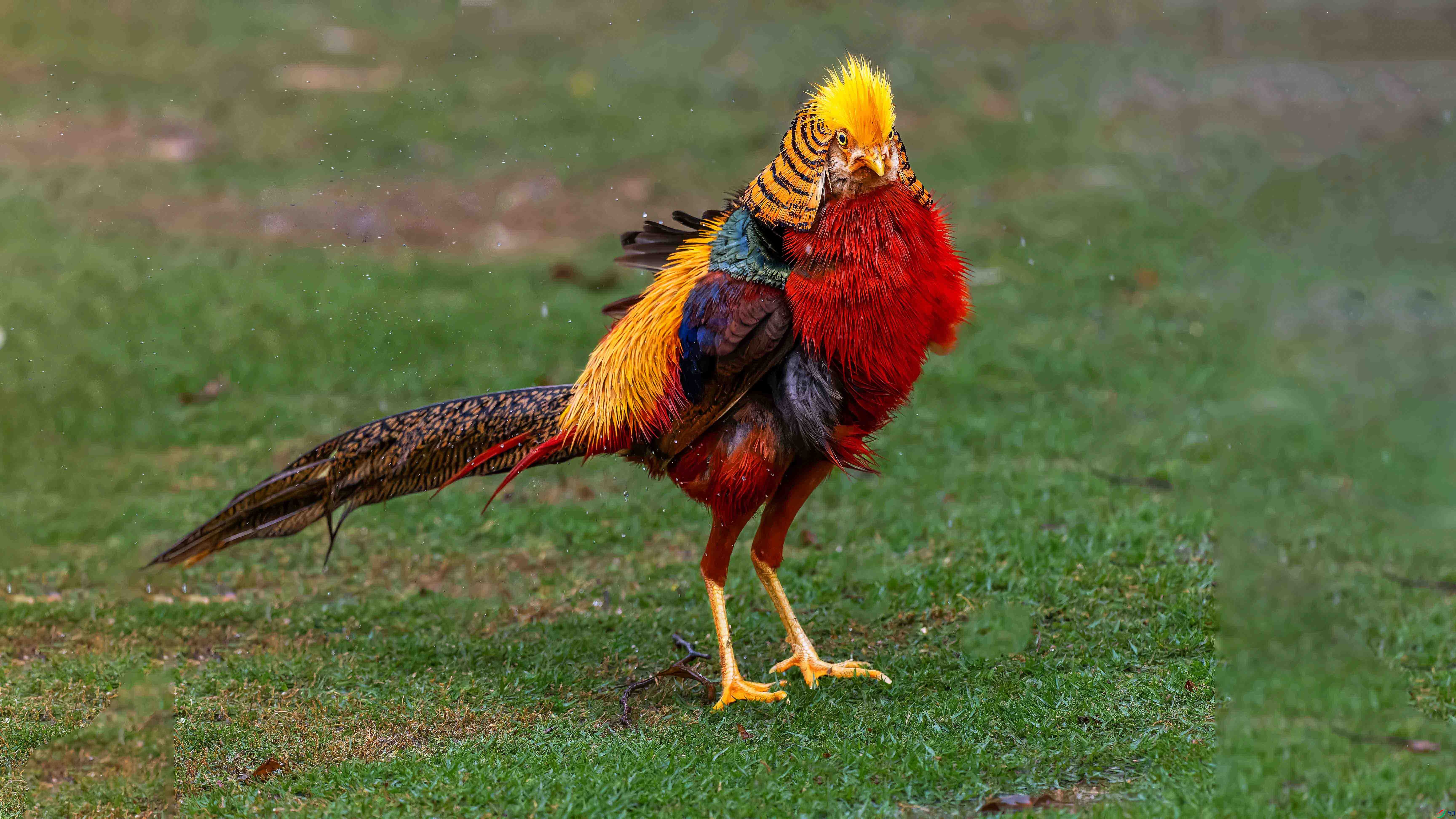 _4020050-ORF_DxO_DeepPRIMEXD ���� 2.jpg