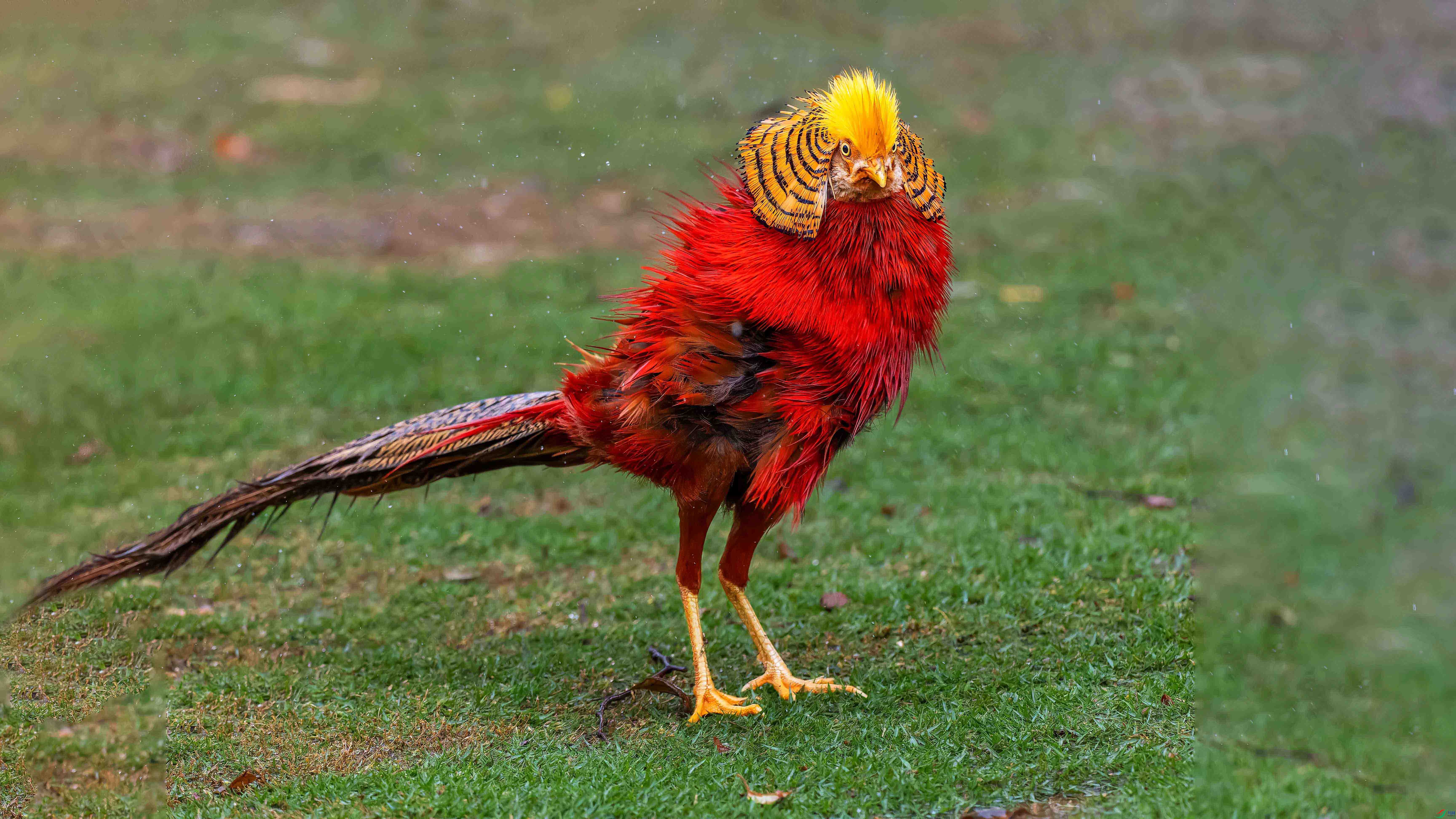 _4020051-ORF_DxO_DeepPRIMEXD ���� 2.jpg