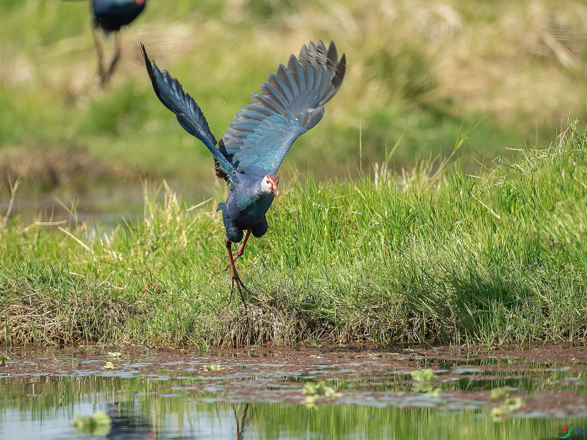 DSC_7224.jpg