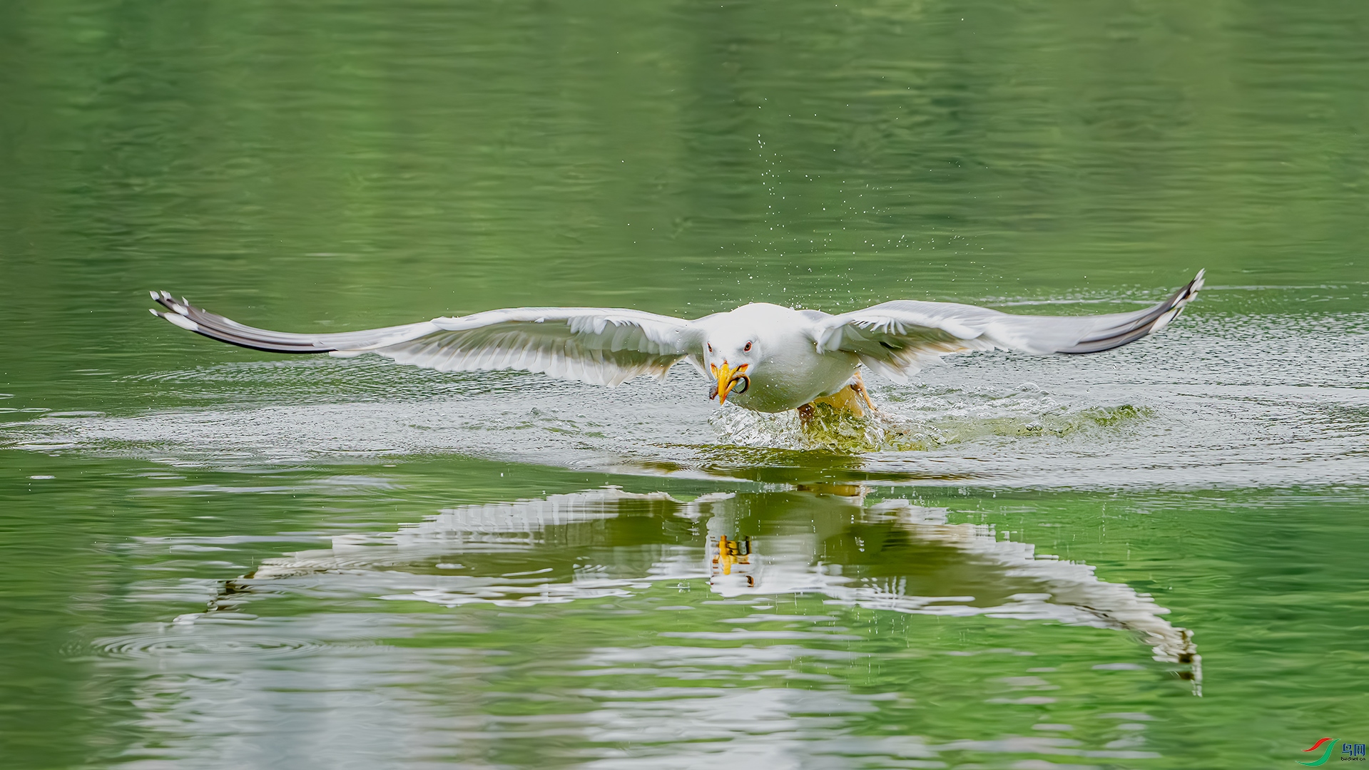 DSC_5130.jpg