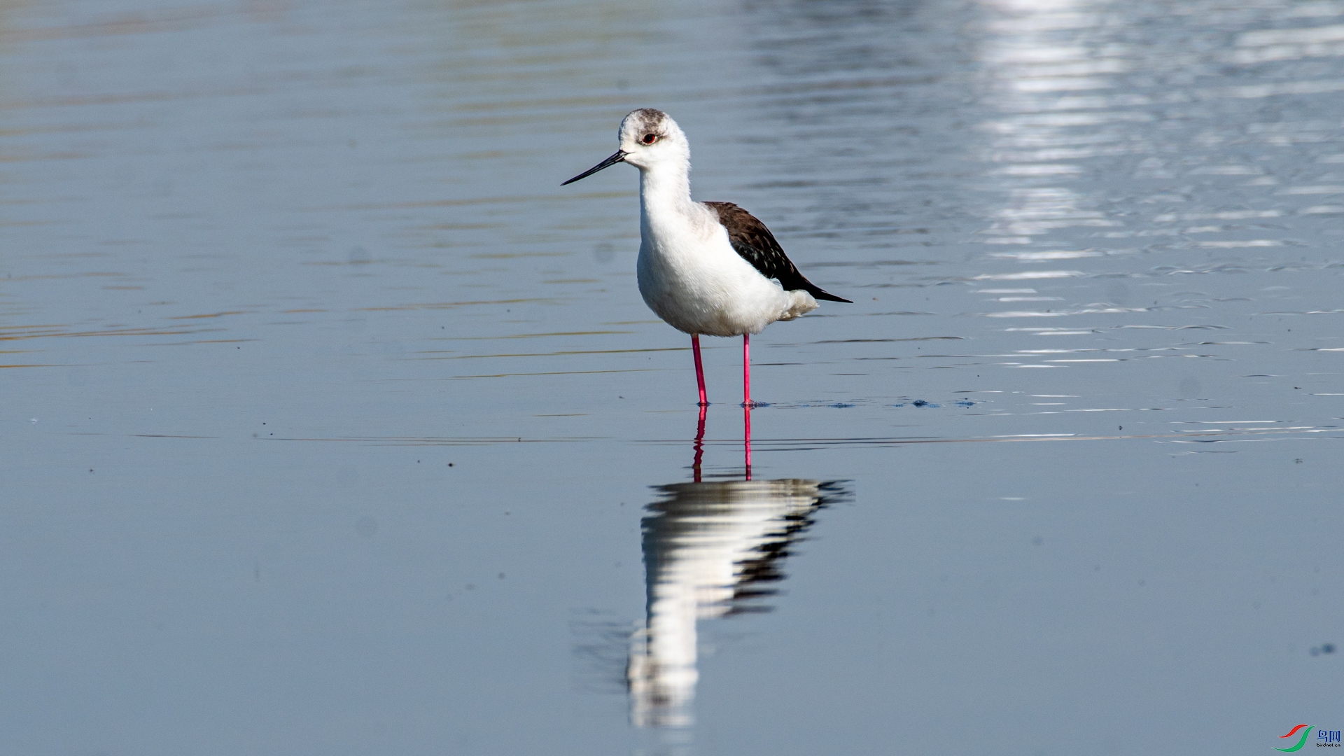DSC_1324.jpg