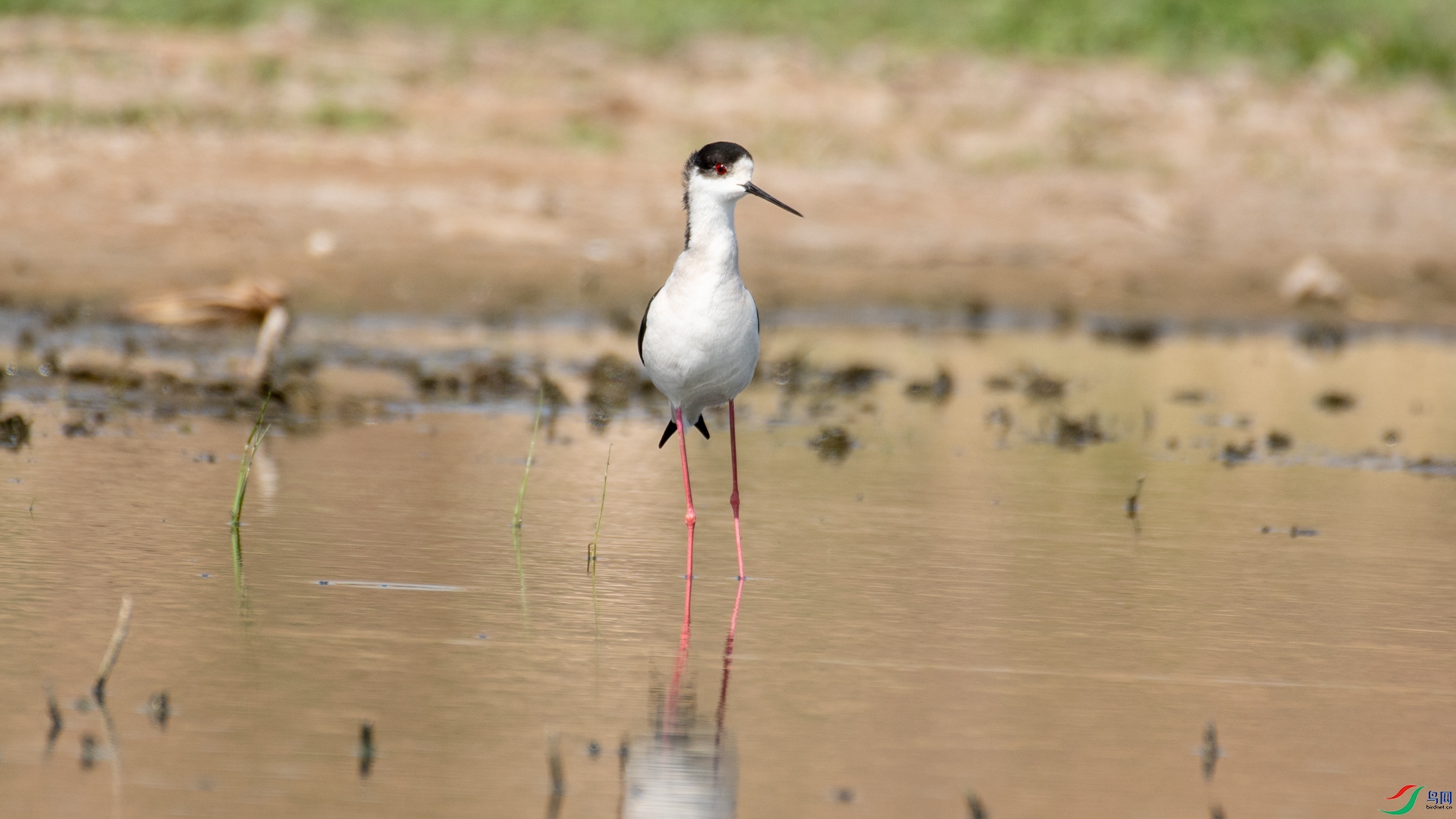 DSC_1562.jpg