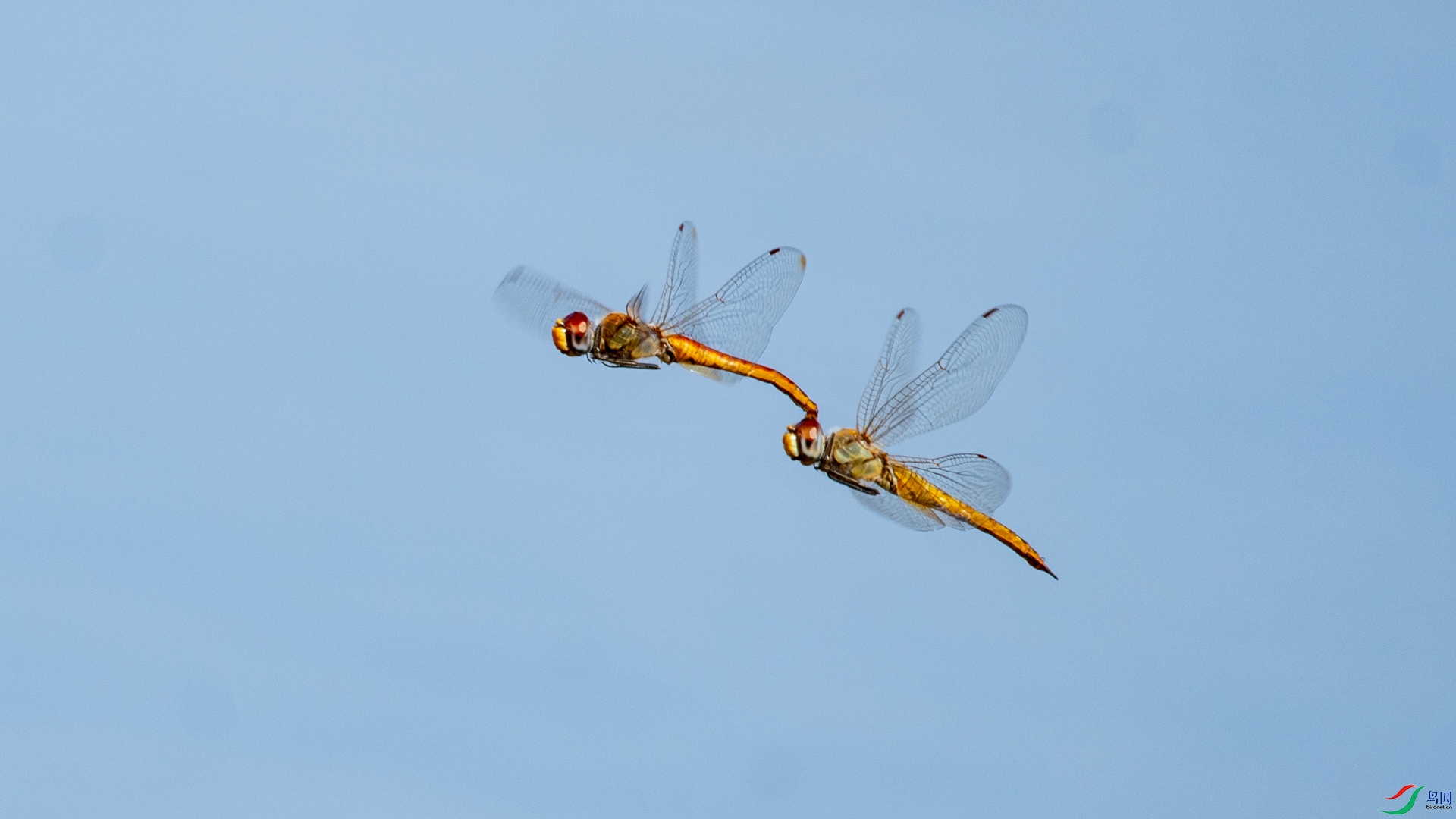 DSC_1479.jpg