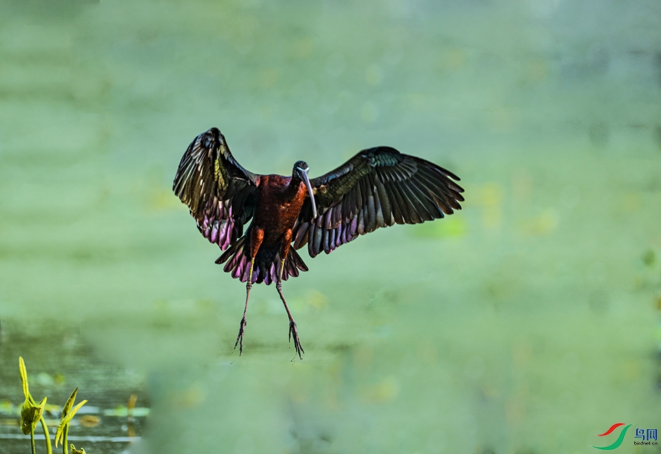 DSC_7755 ���� 2.jpg