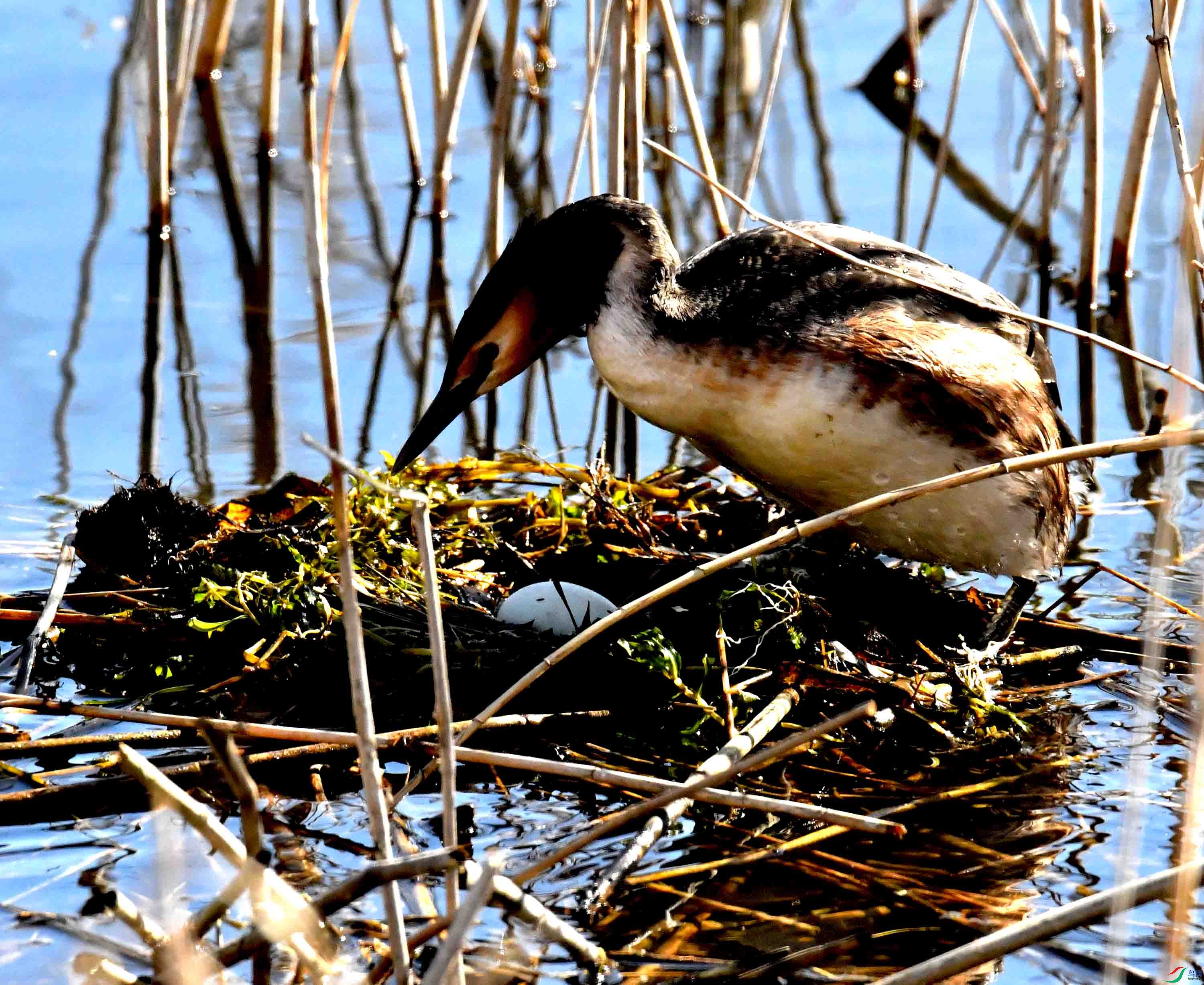 DSC_3467.JPG