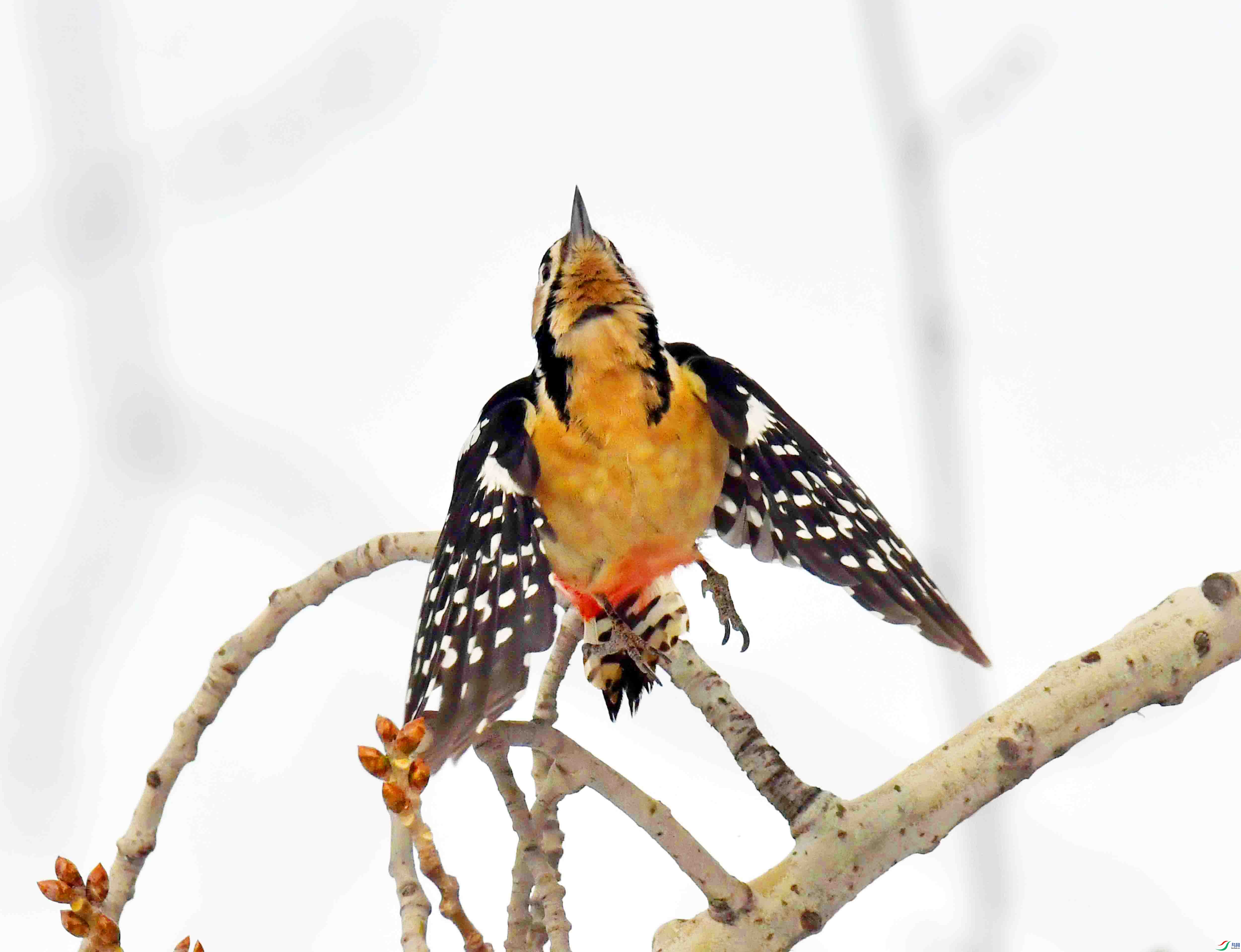 DSC_4024.JPG
