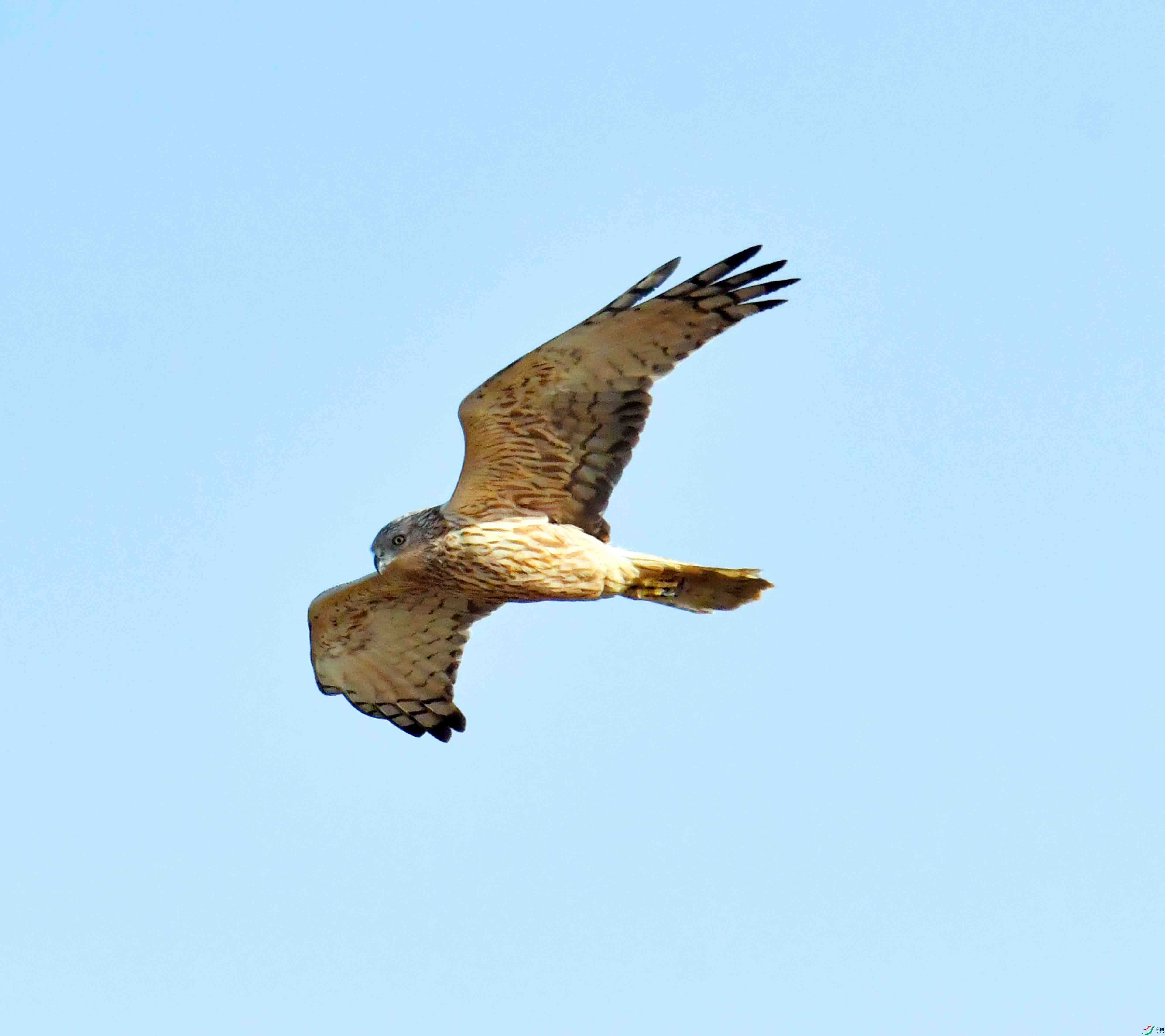 DSC_4157.JPG