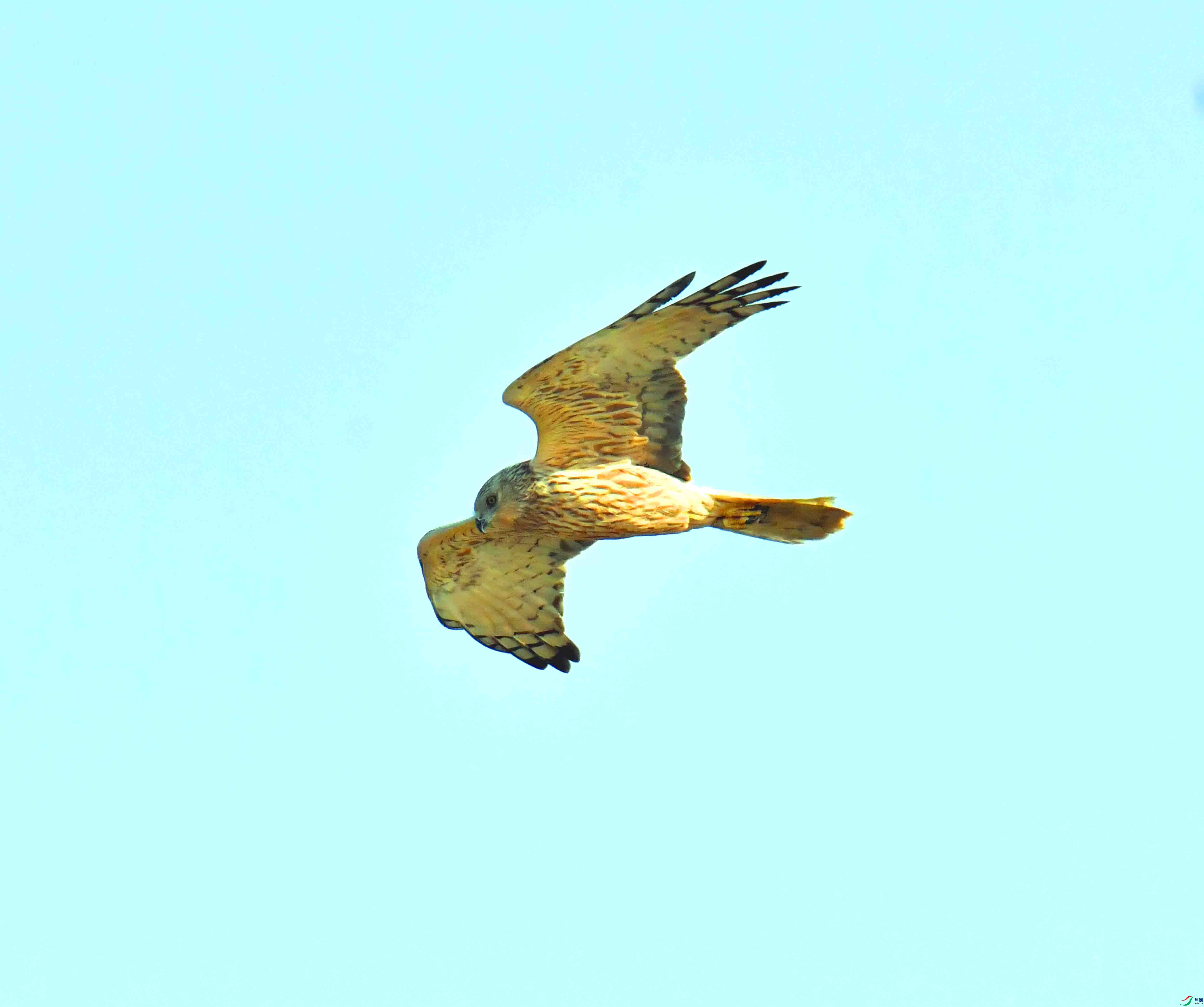DSC_4160.JPG
