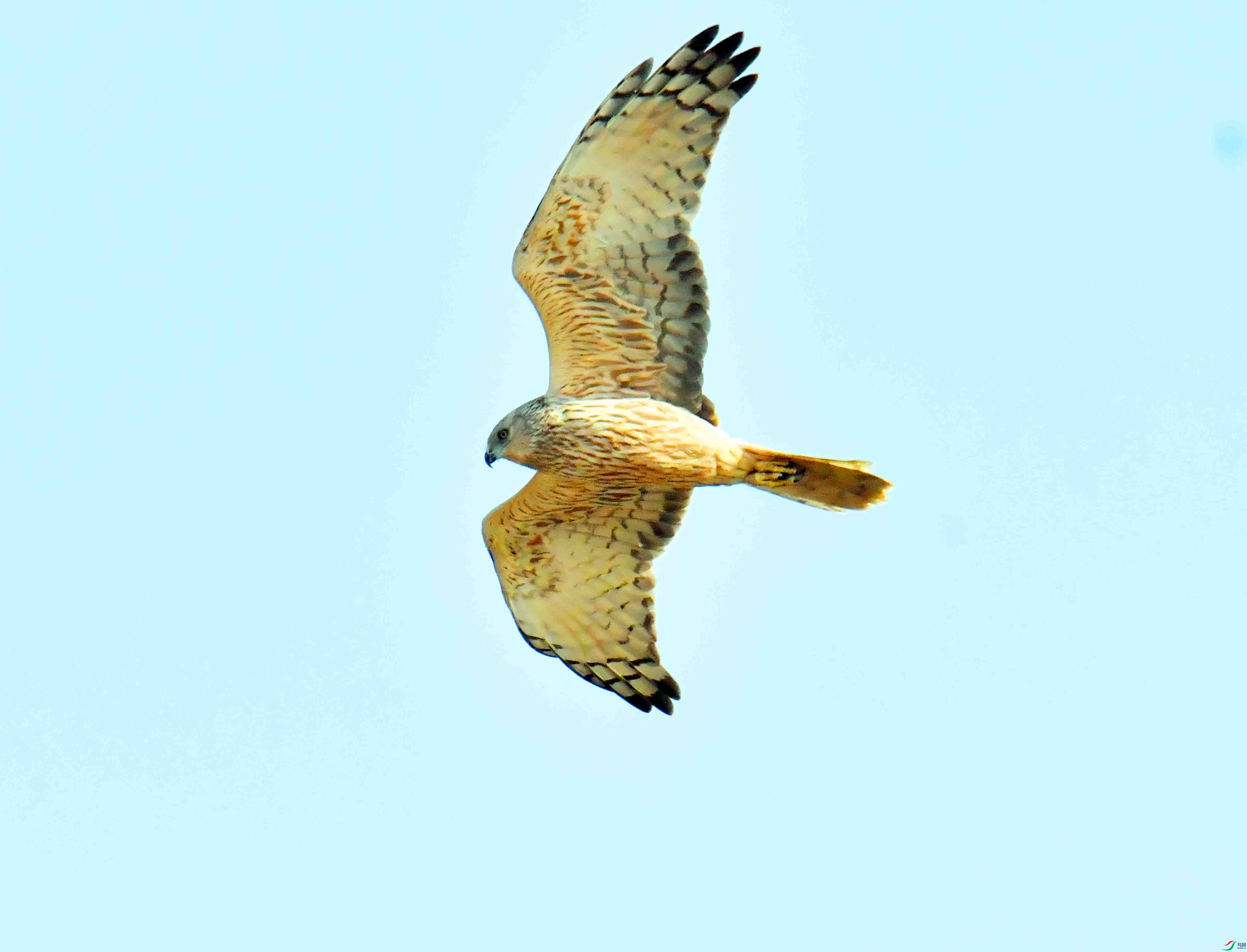 DSC_4162.JPG