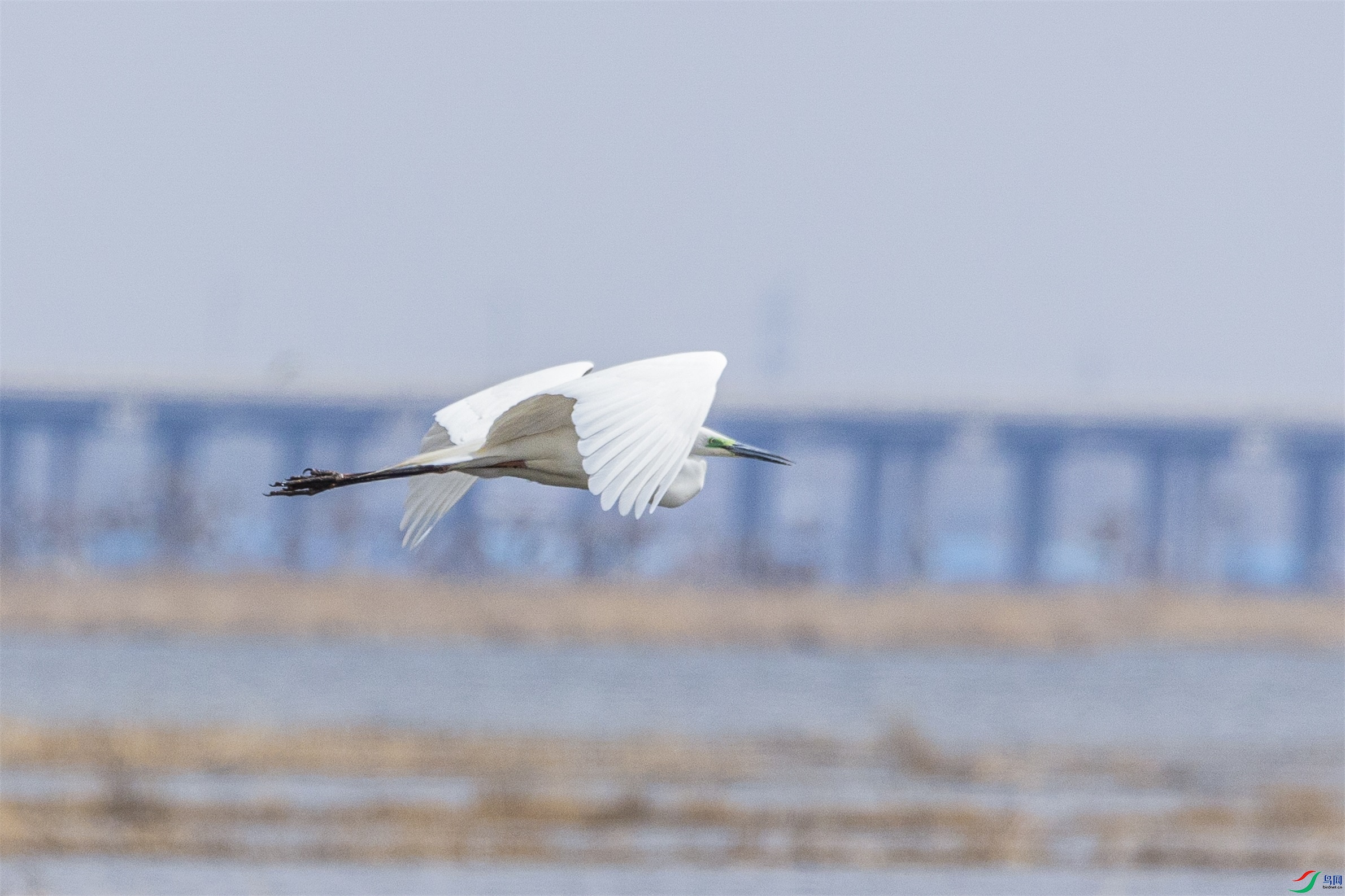 1K3A7835 ����1.jpg