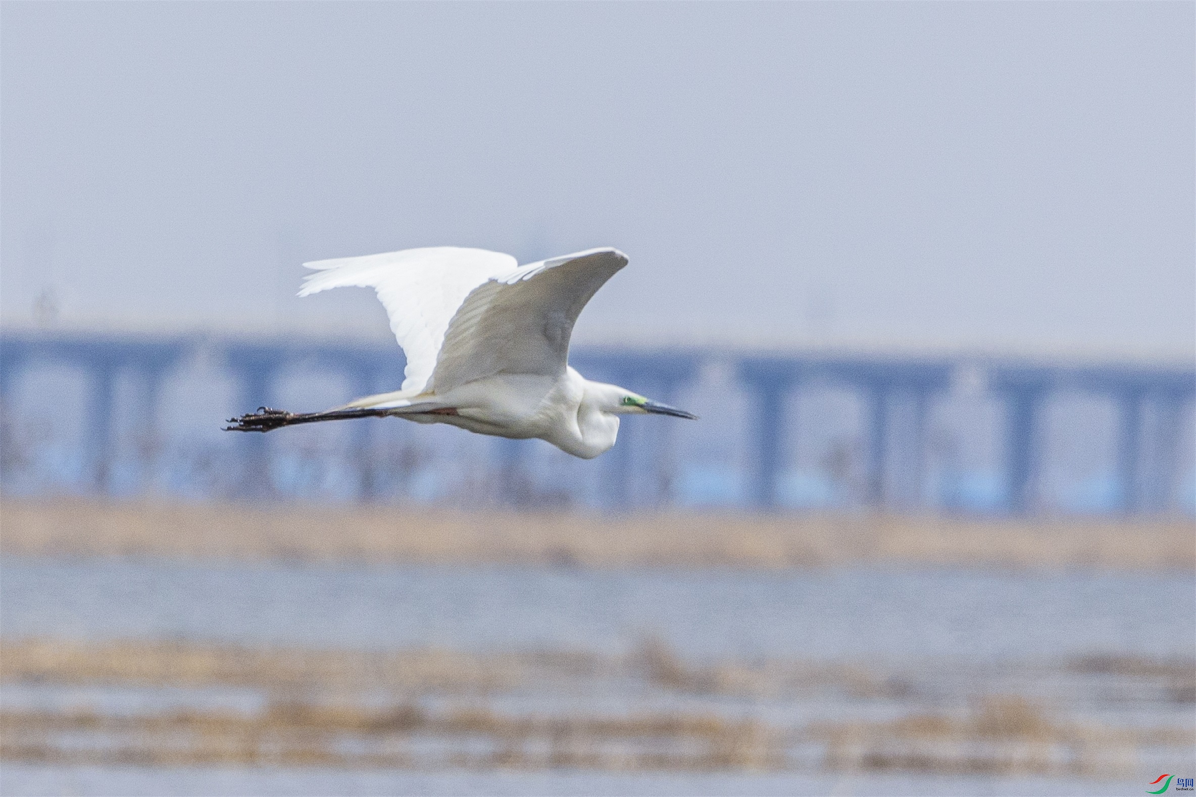 1K3A7836 ����1.jpg