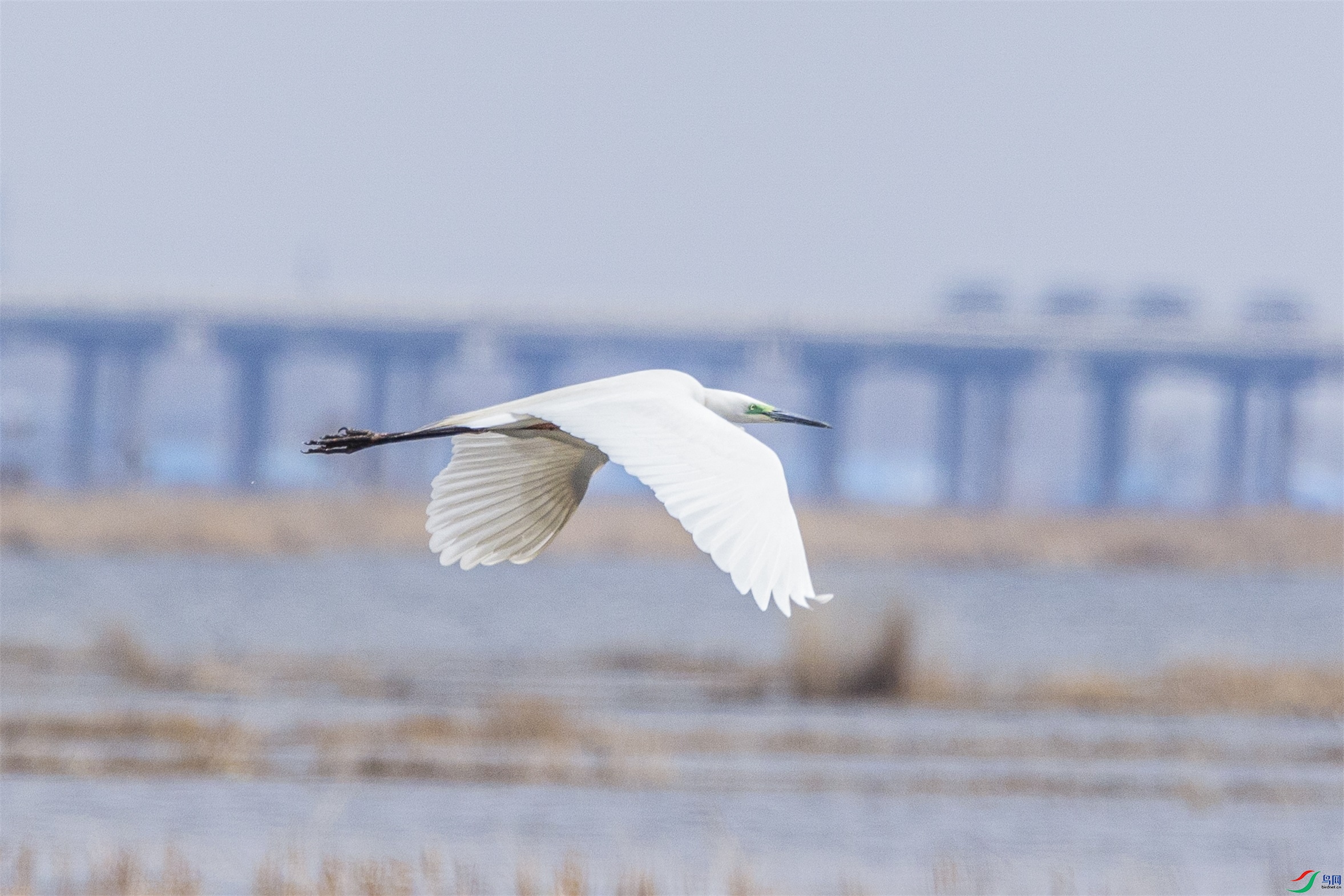 1K3A7840 ����1.jpg