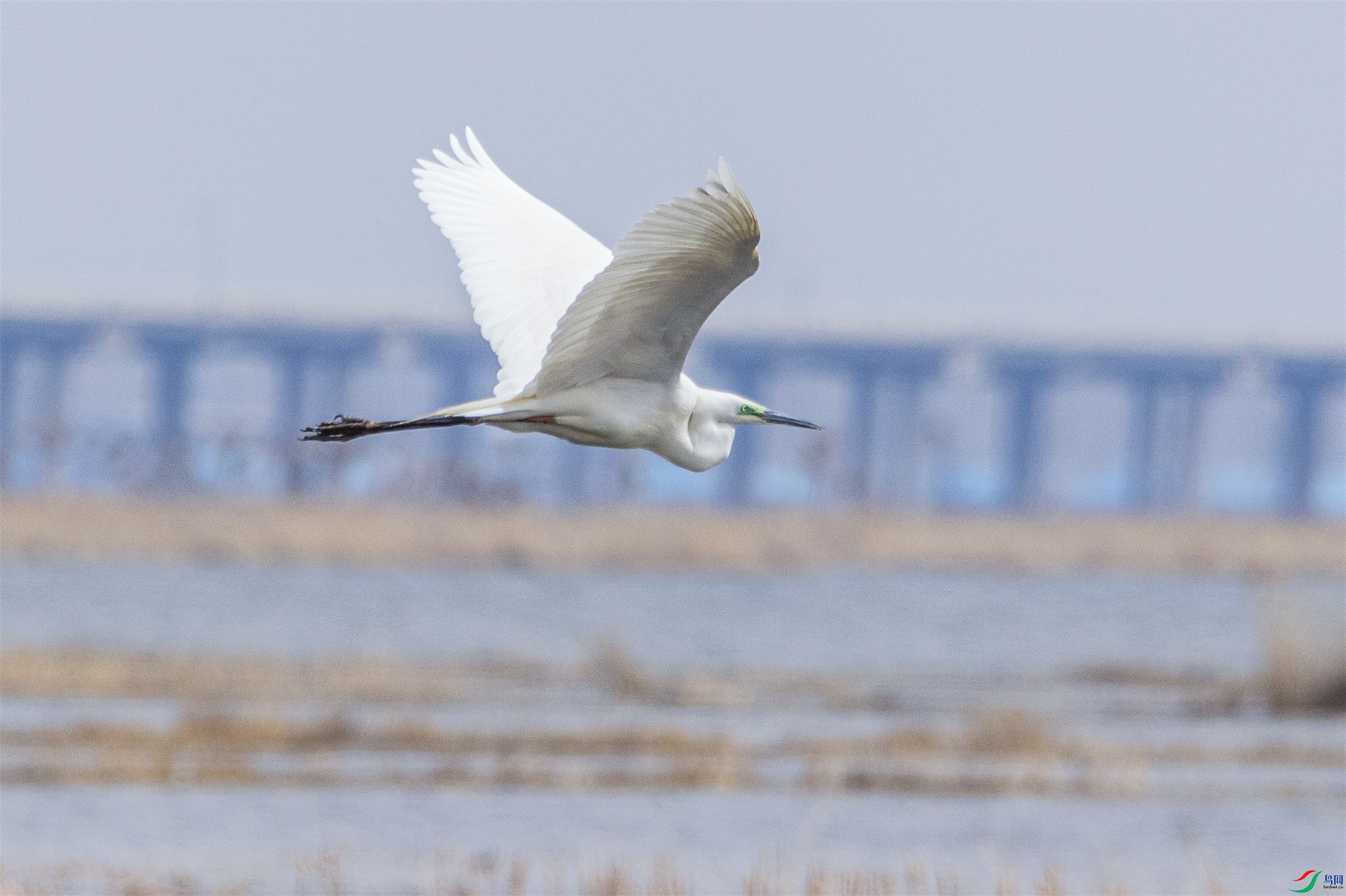 1K3A7837 ����1.jpg