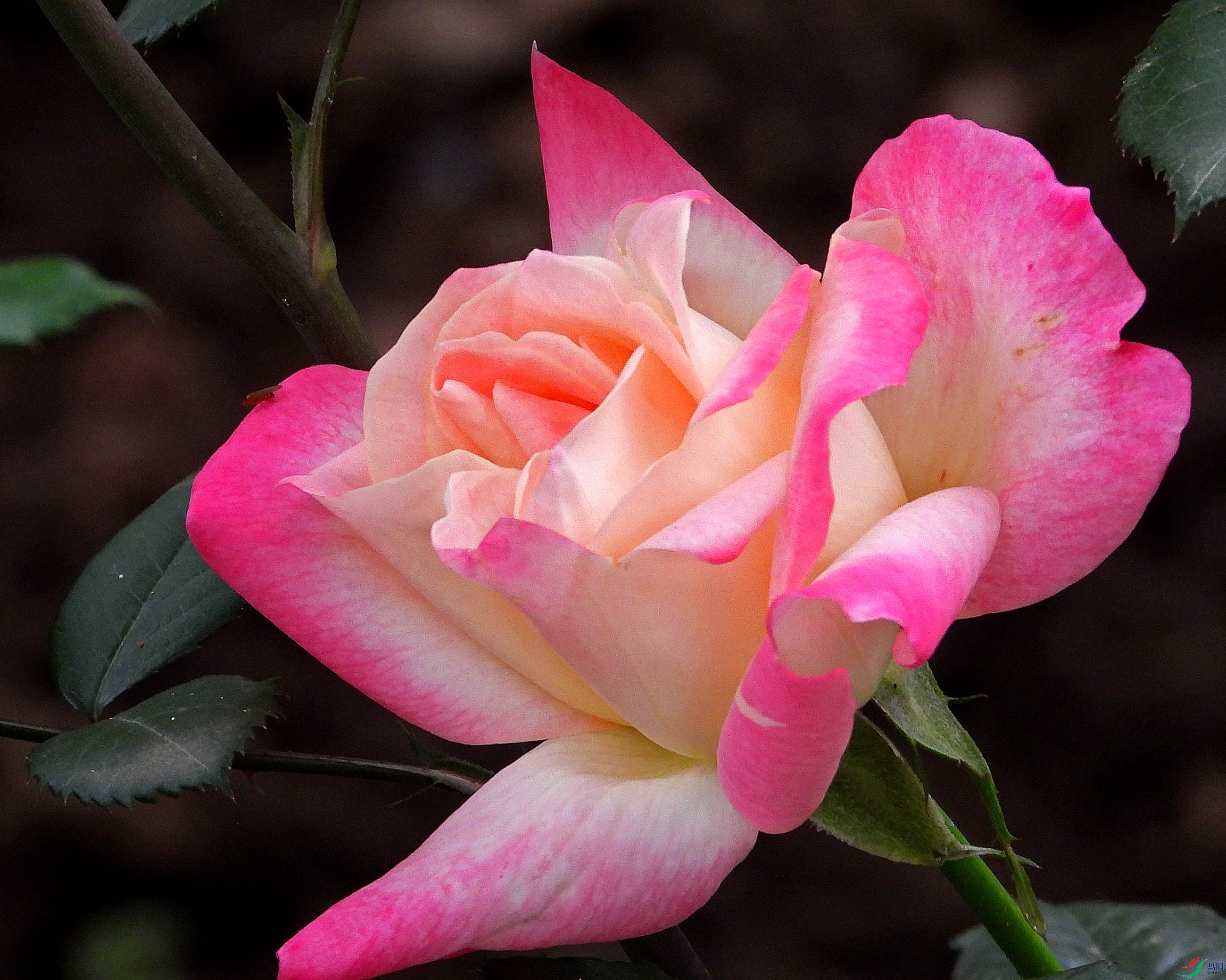 DSCN3082.JPG