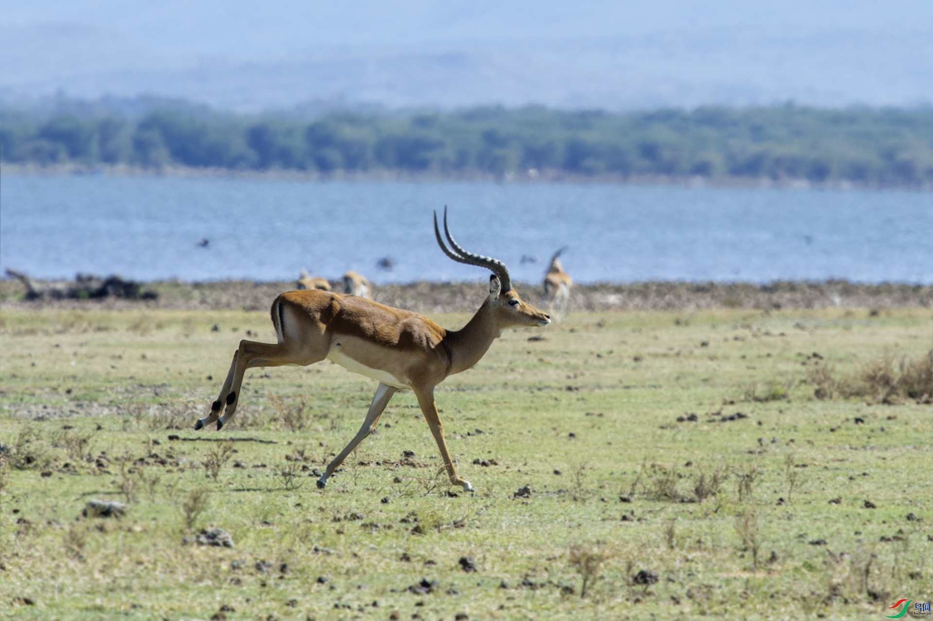 DSC_6668 ����.jpg