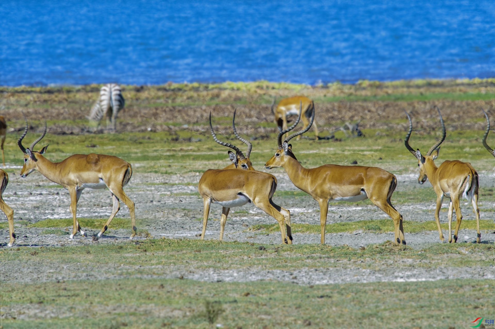 DSC_6648 ����.jpg