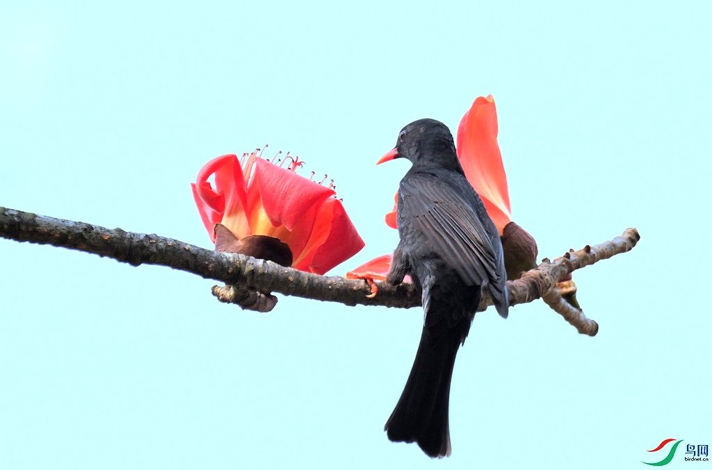 DSC_8566.jpg