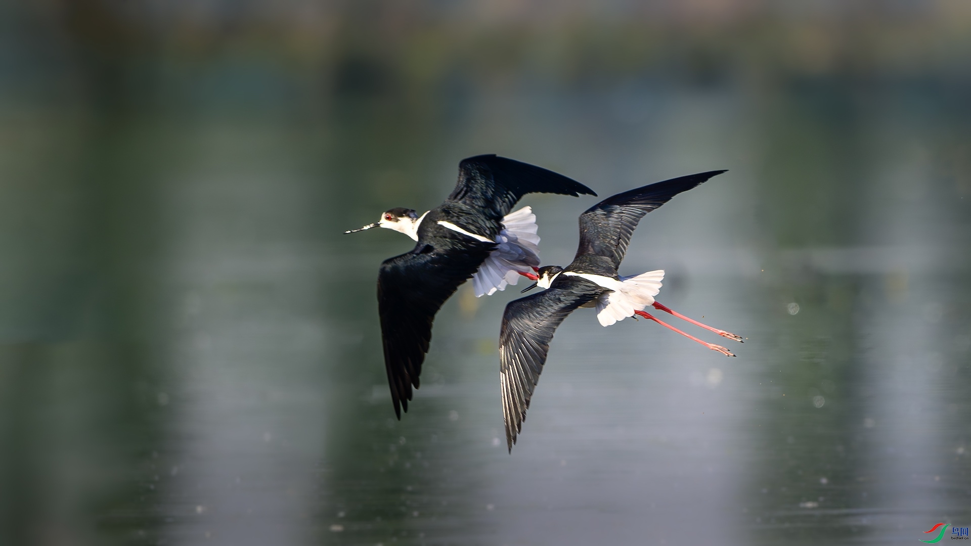 1_XXL5387-����ǿ-NR ����.jpeg