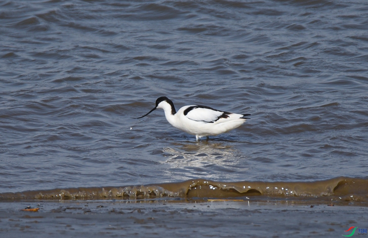 DSC_4222f.jpg