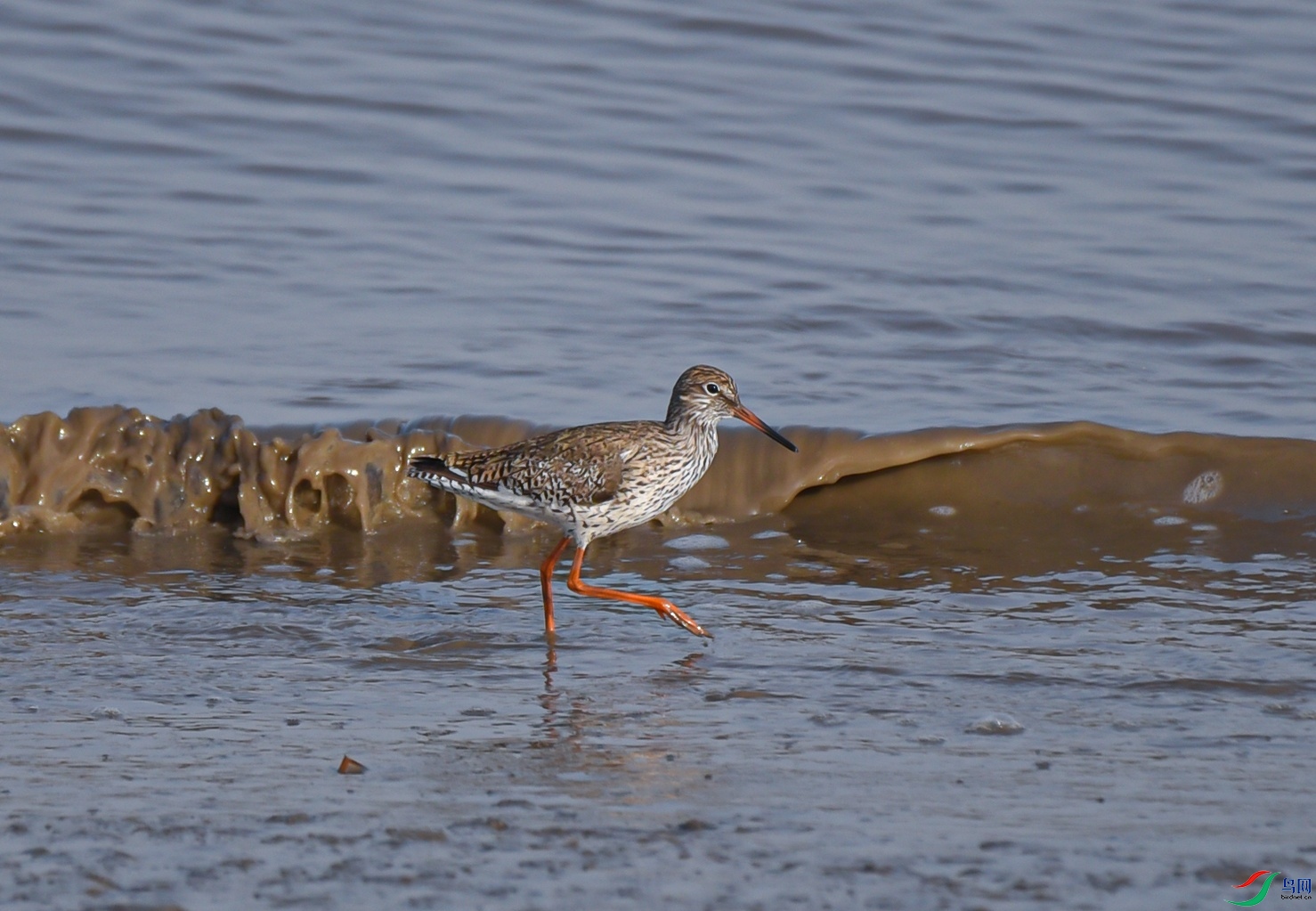 DSC_2180f.jpg