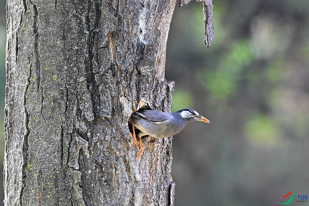 DSC_2093.JPG
