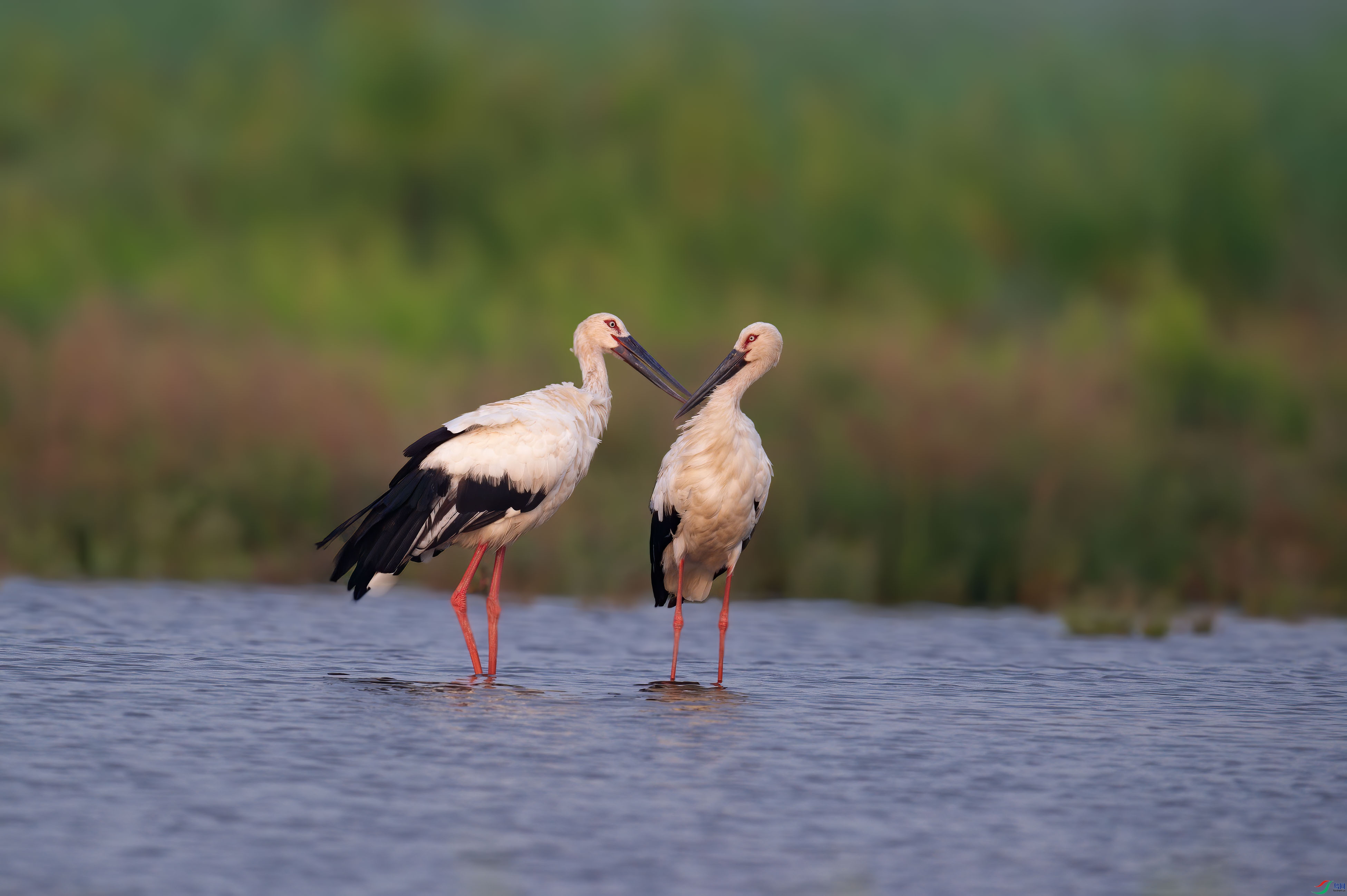 sen2016 8-20-12-�༭-2.jpg